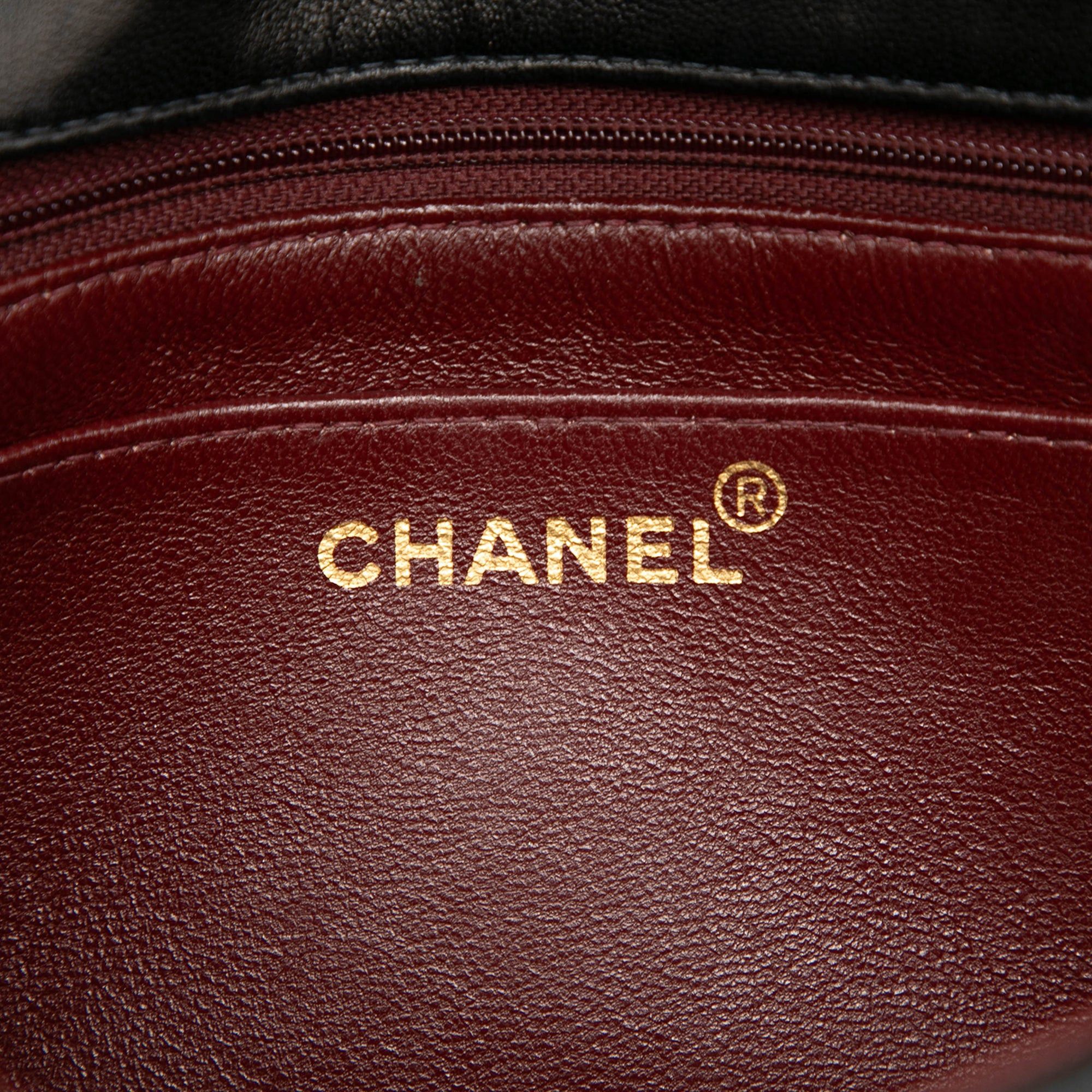 Chanel Medium Vertical Quilted Lambskin Mademoiselle Crossbody Size ONE SIZE - 5 Thumbnail