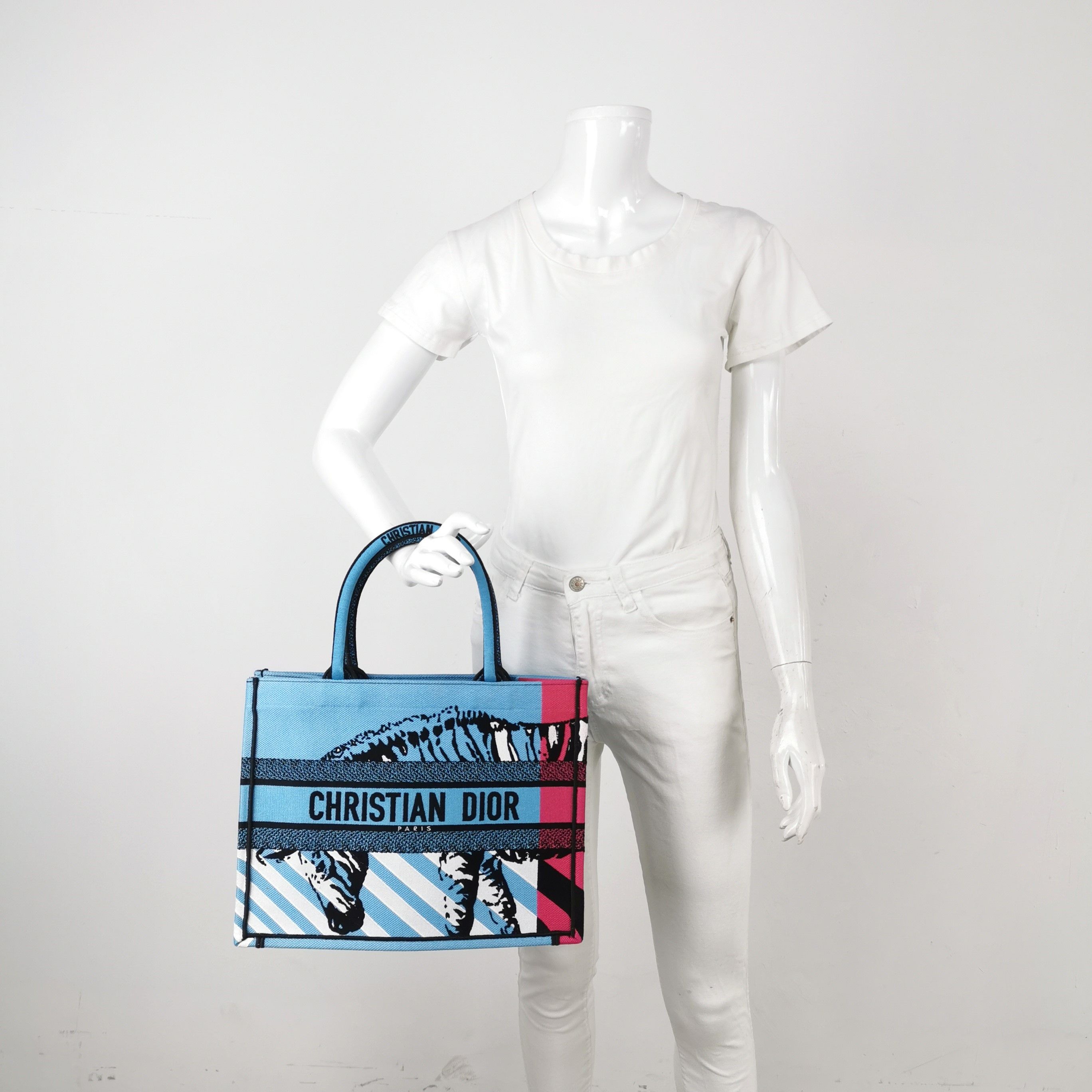 Dior Dior Women os Tote Bags Size ONE SIZE - 2 Thumbnail