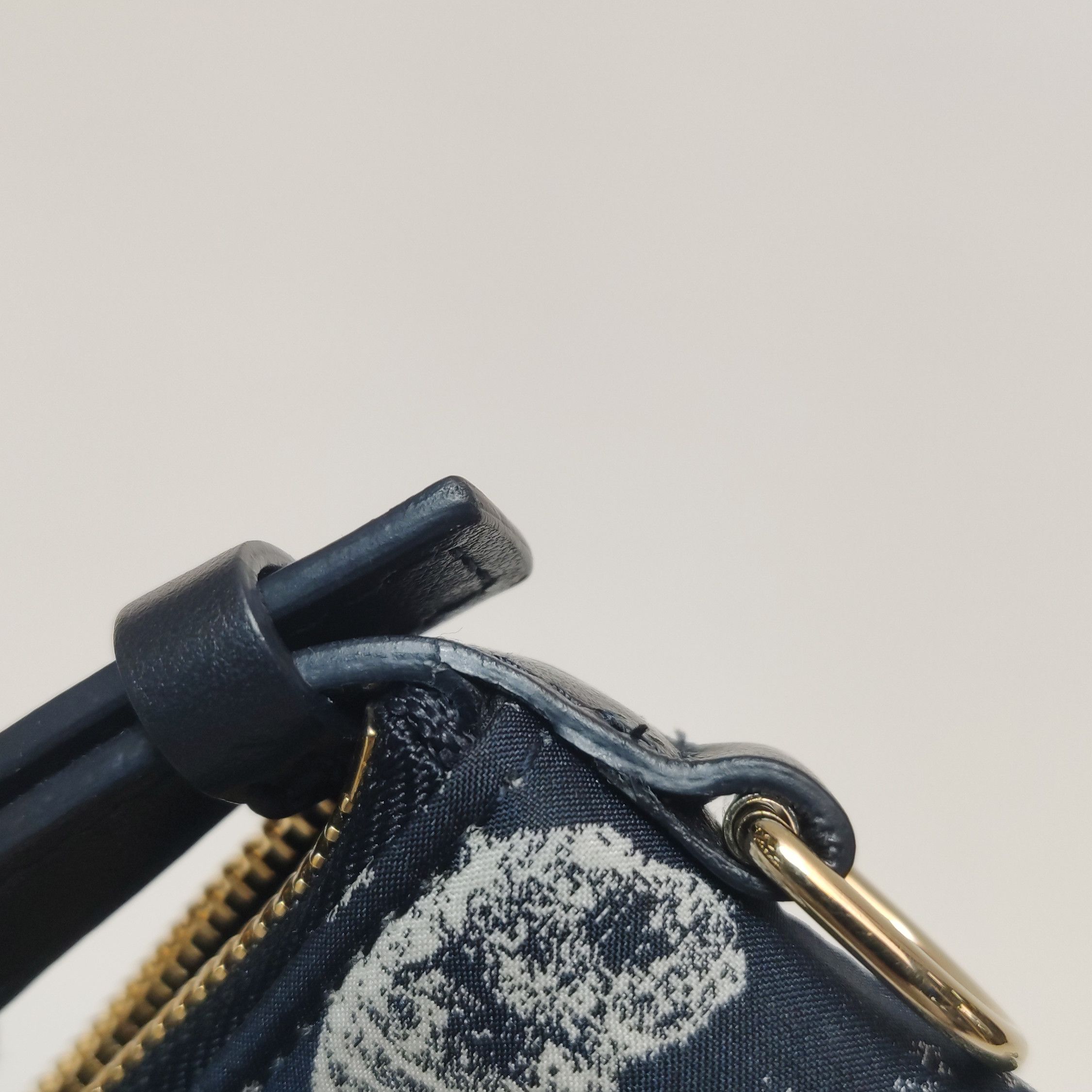 Dior Dior Women os Tote Bags Size ONE SIZE - 24 Thumbnail