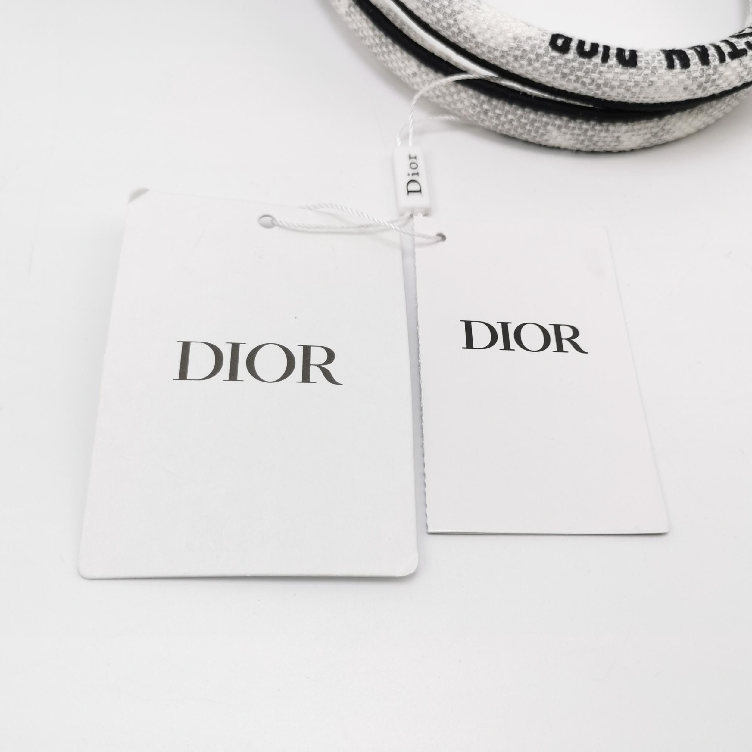 Dior Dior Women os Tote Bags Size ONE SIZE - 9 Thumbnail