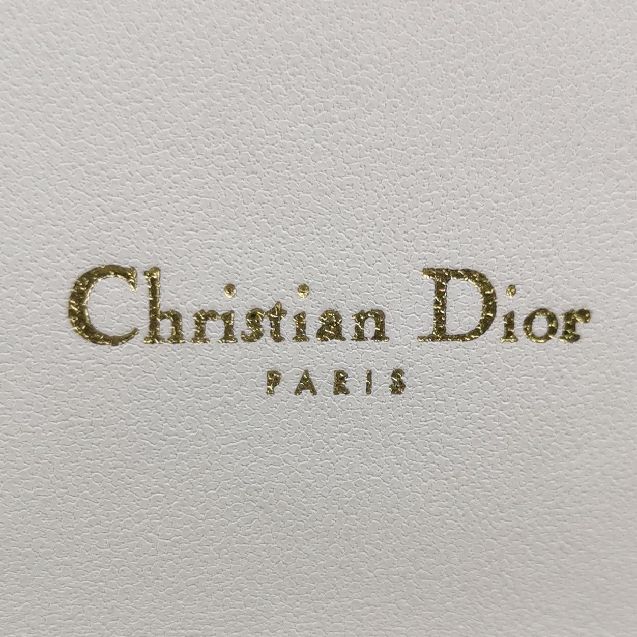 Dior Dior Women os Belt Bags Size ONE SIZE - 8 Thumbnail