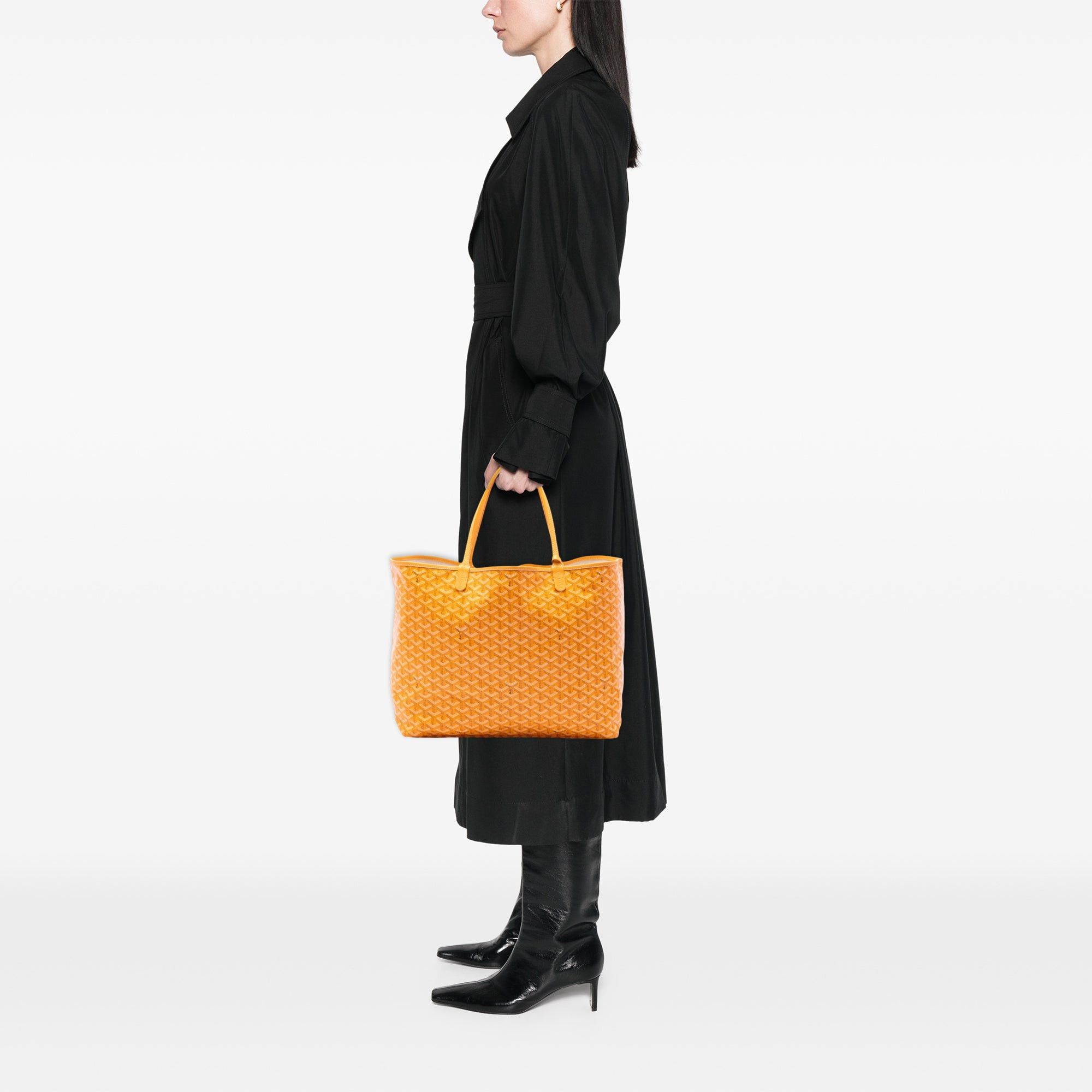 Goyard Goyardine Saint Louis GM Size ONE SIZE - 6 Thumbnail