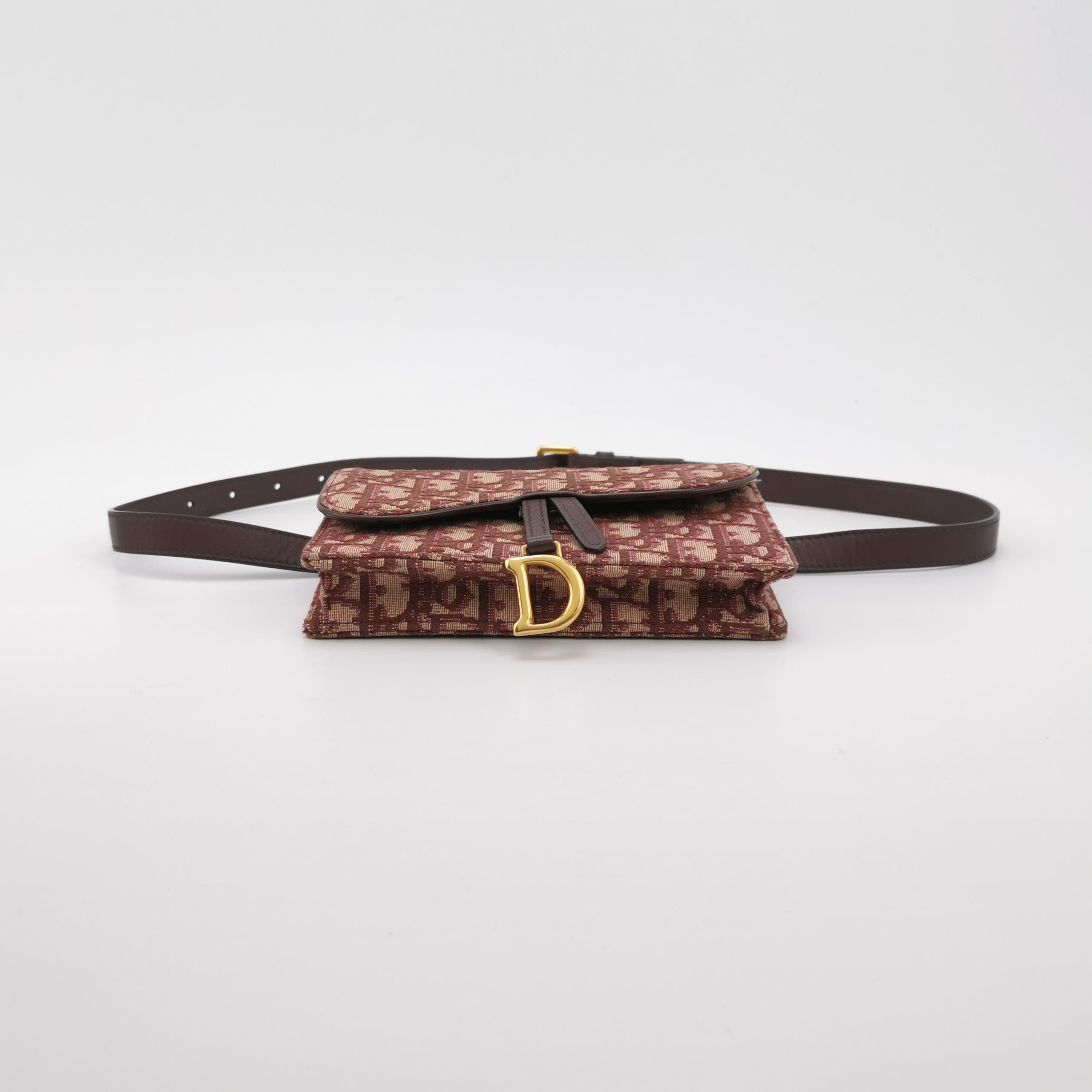 Dior Dior Women os Belt Bags Size ONE SIZE - 6 Thumbnail