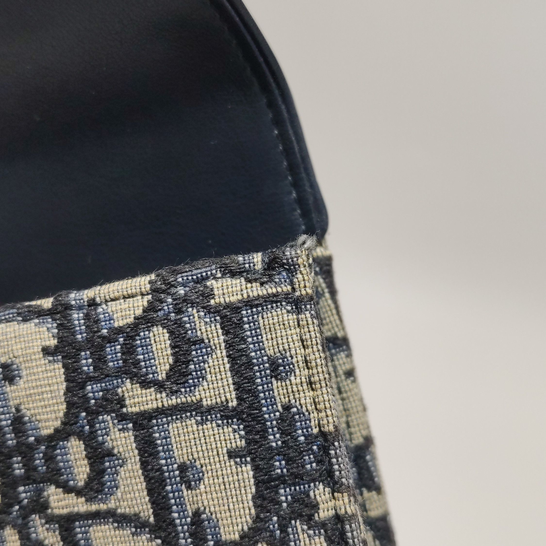 Dior Dior Women os Belt Bags Size ONE SIZE - 14 Thumbnail
