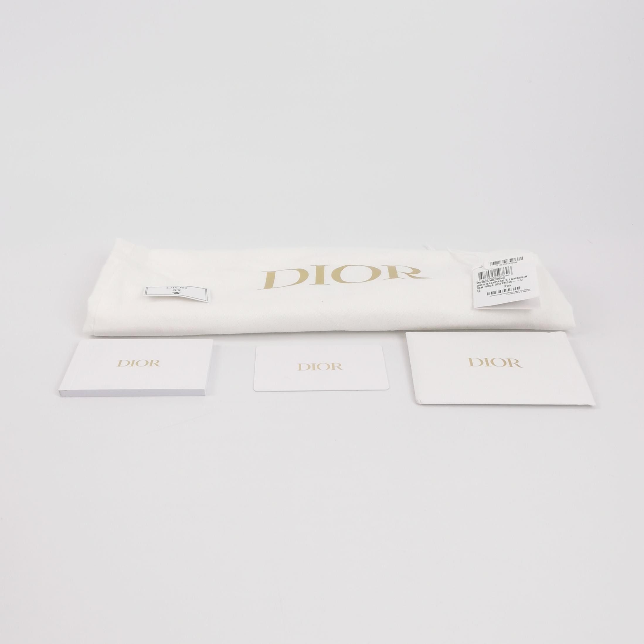 Dior Dior Women os Backpacks Size ONE SIZE - 9 Thumbnail
