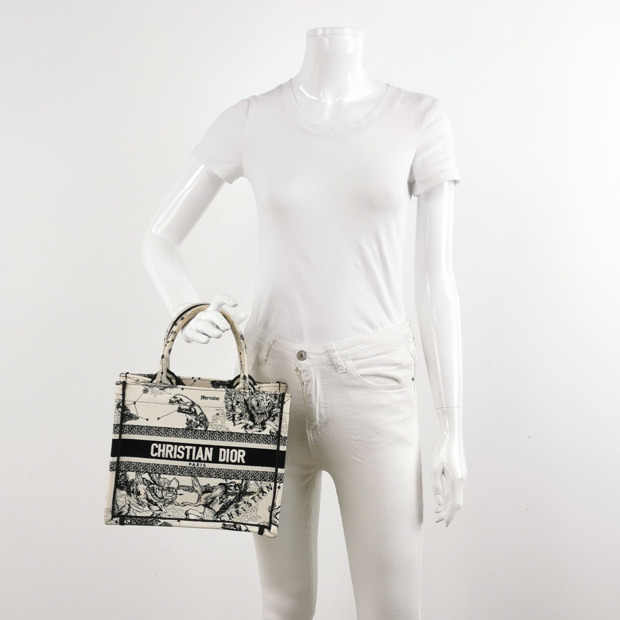 Dior Dior Women os Tote Bags Size ONE SIZE - 2 Thumbnail