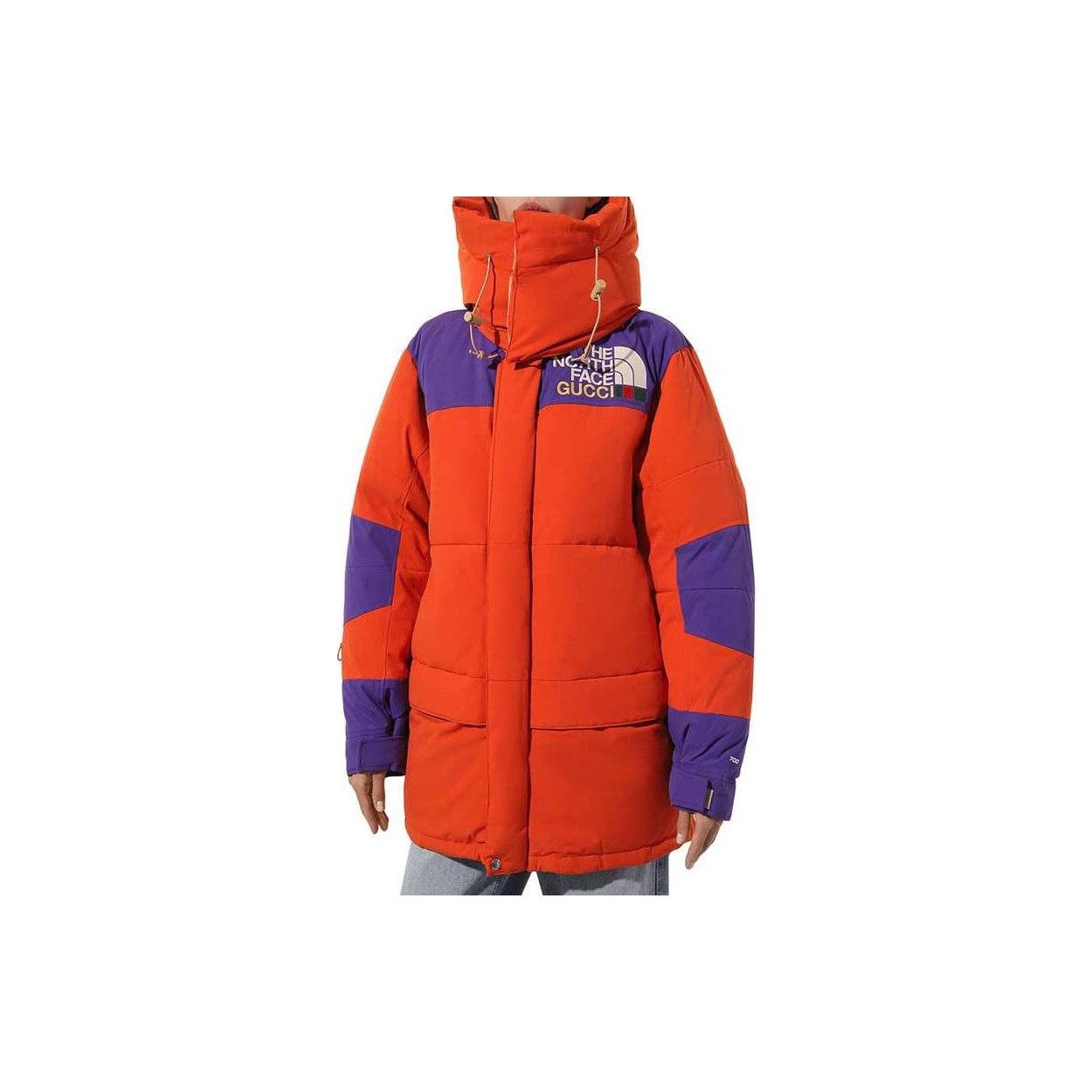 Gucci × The North Face Gucci x The North Face Logo Down Jacket Size XS Size XS / US 0-2 / IT 36-38 - 10 Thumbnail