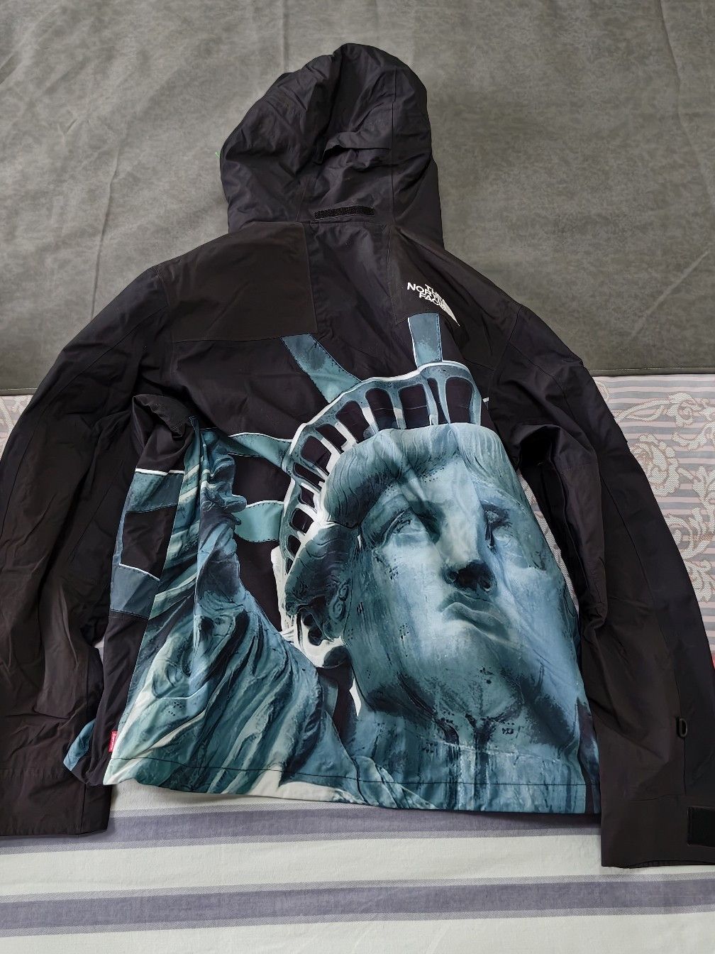 Supreme Supreme x The North Face Statue of Liberty Mountain Jacket S Size US M / EU 48-50 / 2 - 2 Thumbnail