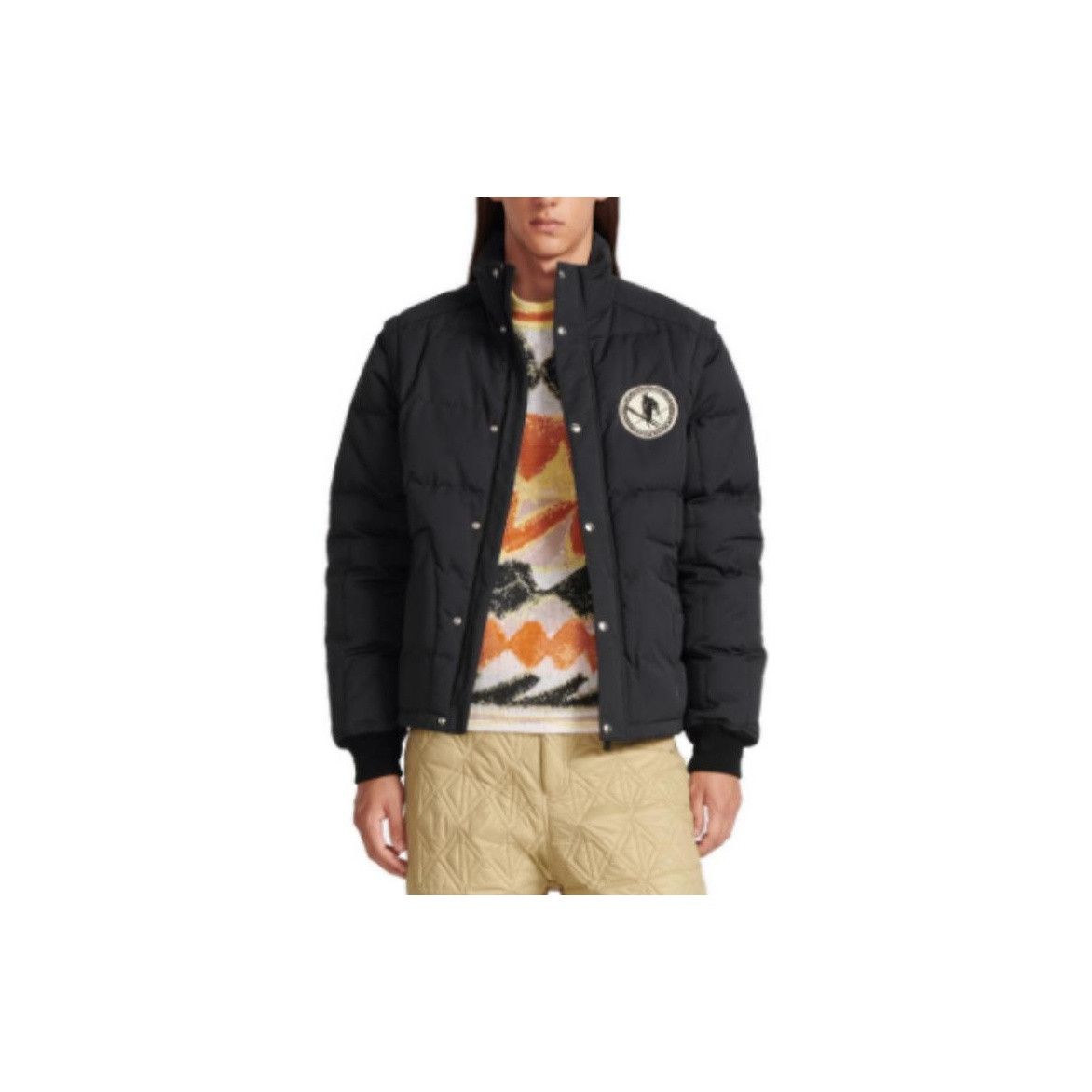 Dior Dior x Peter Doig Logo Patch Puffer Jacket Size 52 Size US L / EU 52-54 / 3 - 6 Thumbnail