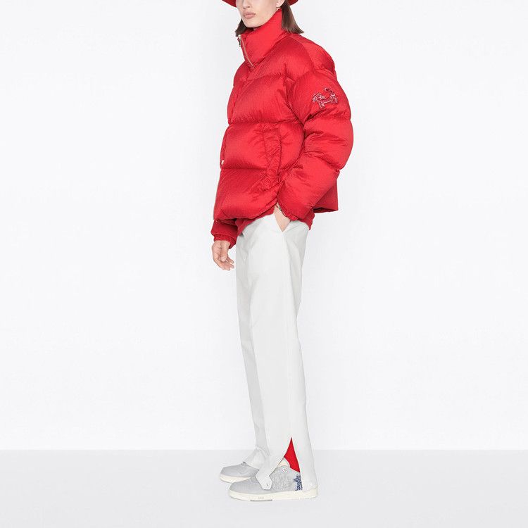 Dior Dior x Kenny Scharf Tiger Patch Down Jacket Size L Size US L / EU 52-54 / 3 - 8 Thumbnail