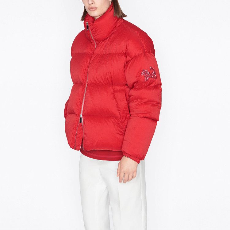 Dior Dior x Kenny Scharf Tiger Patch Down Jacket Size L Size US L / EU 52-54 / 3 - 9 Thumbnail
