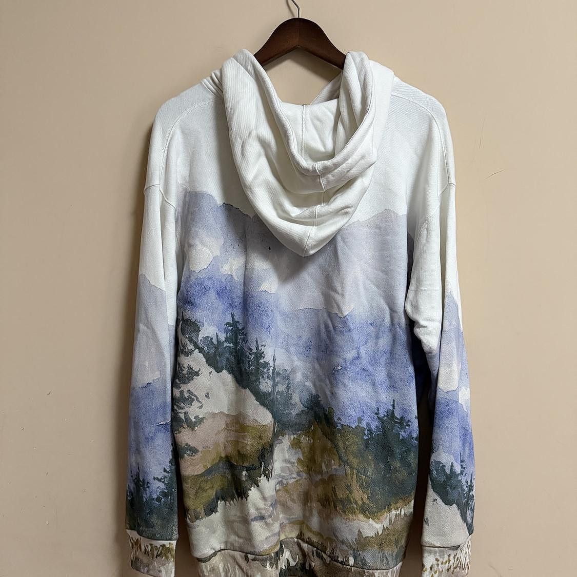 Gucci Gucci x The North Face Landscape Hoodie Size L Size L / US 10 / IT 46 - 2 Thumbnail