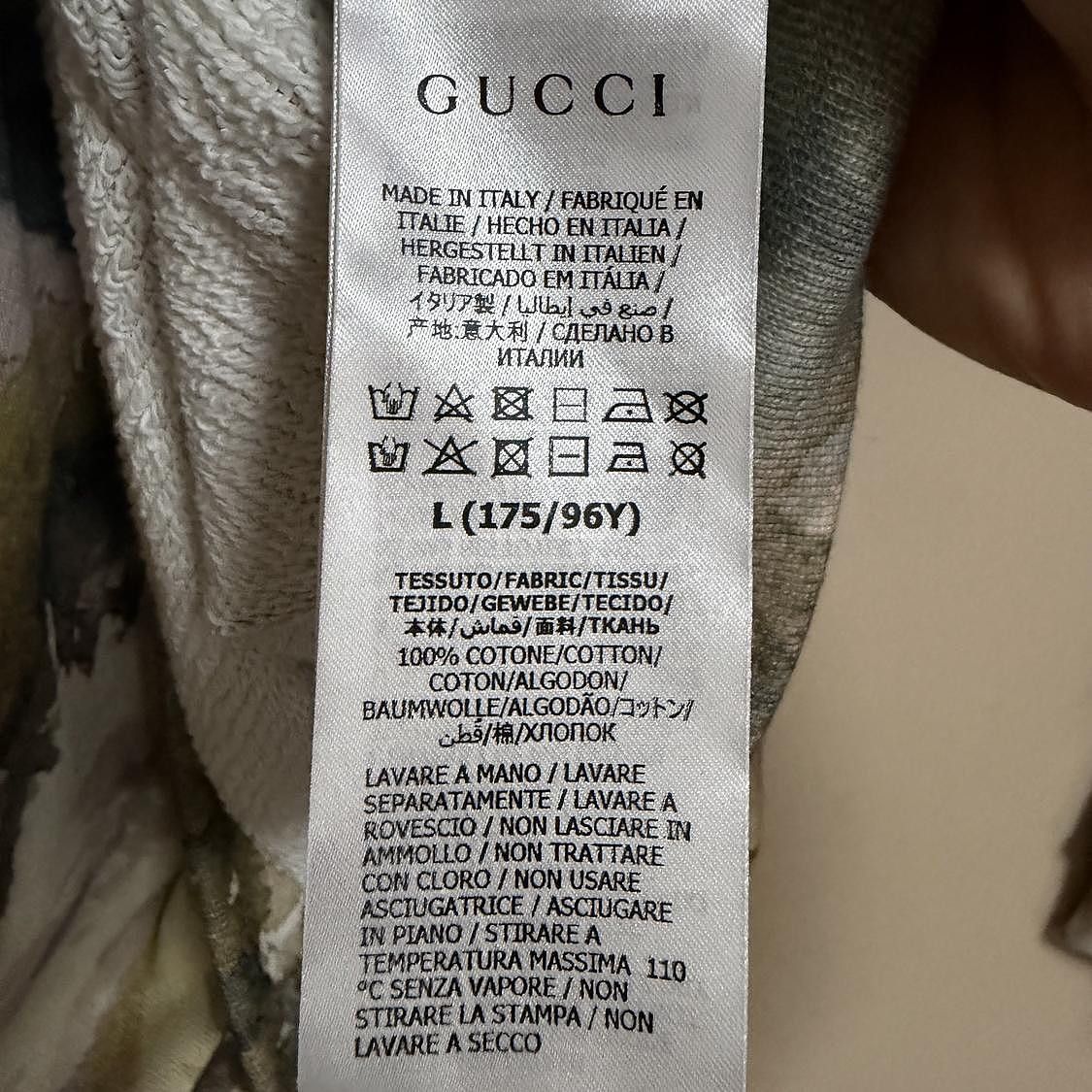 Gucci Gucci x The North Face Landscape Hoodie Size L Size L / US 10 / IT 46 - 4 Thumbnail