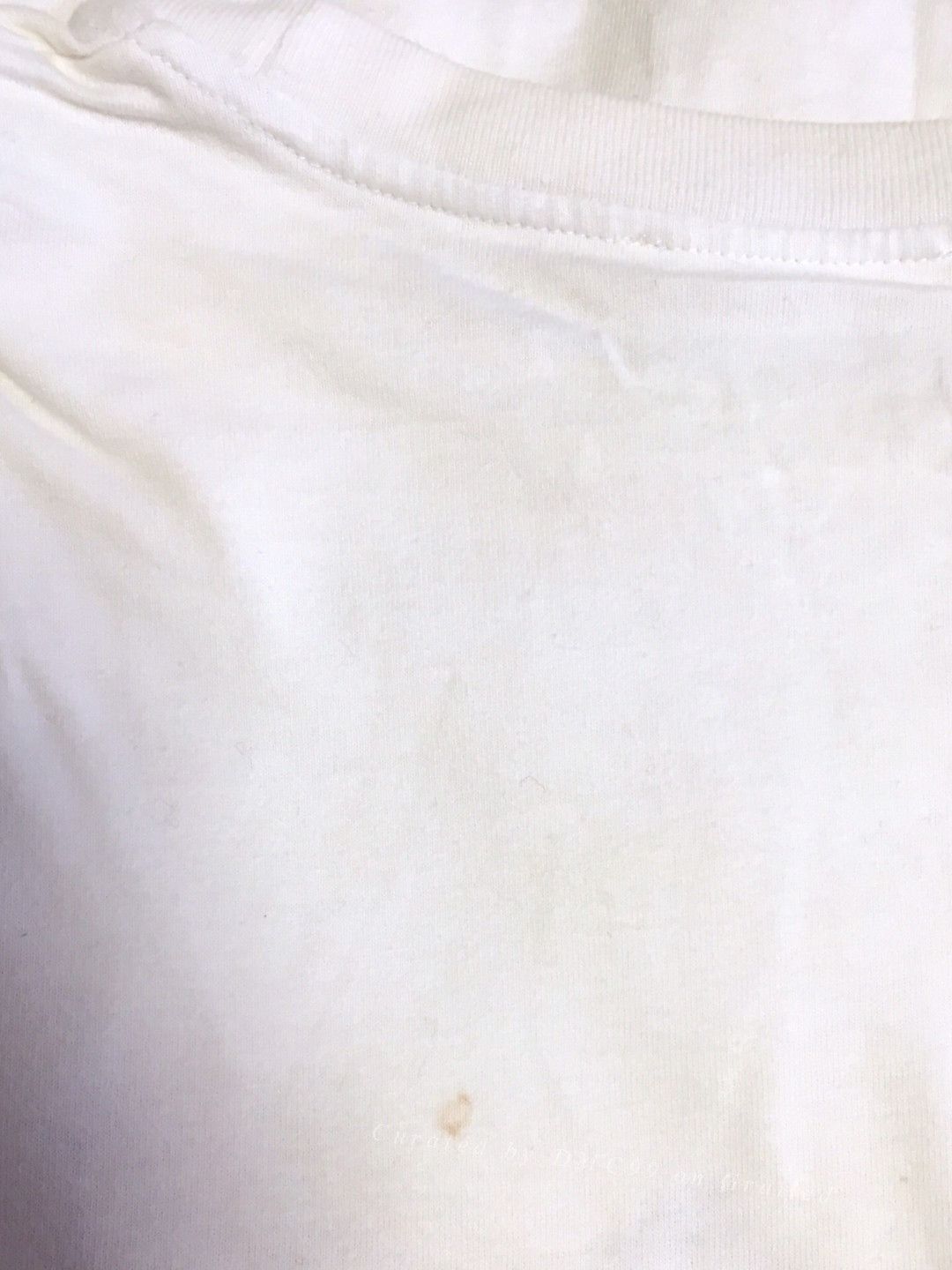 Alexander McQueen Alexander McQueen Moth Print Cotton T-Shirt Size US M / EU 48-50 / 2 - 5 Thumbnail
