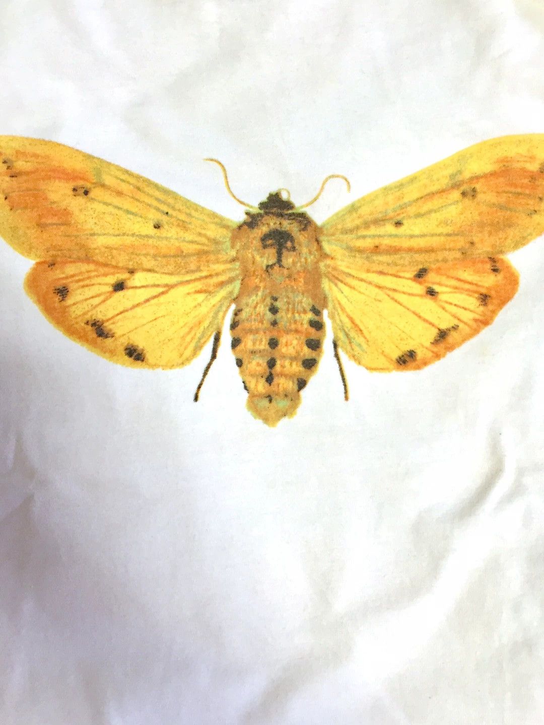 Alexander McQueen Alexander McQueen Moth Print Cotton T-Shirt Size US M / EU 48-50 / 2 - 2 Thumbnail
