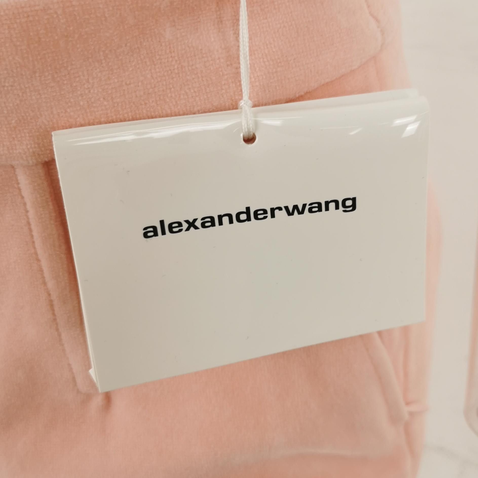 Alexander Wang Alexander Wang Pink Blazer Suit Size 4 Size S / US 4 / IT 40 - 4 Thumbnail