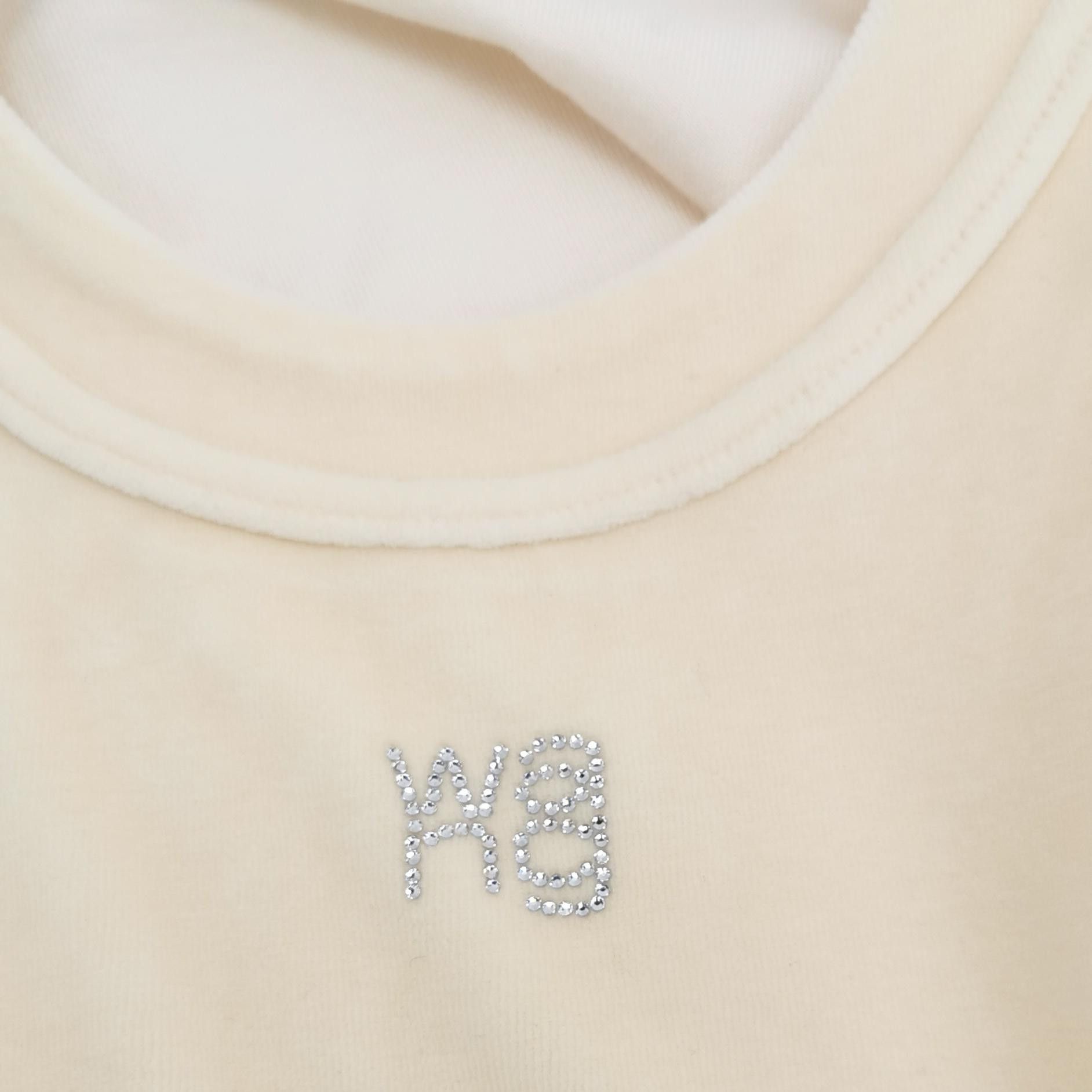 Alexander Wang Alexander Wang Rhinestone Logo Sweatshirt Size S Size S / US 4 / IT 40 - 4 Thumbnail