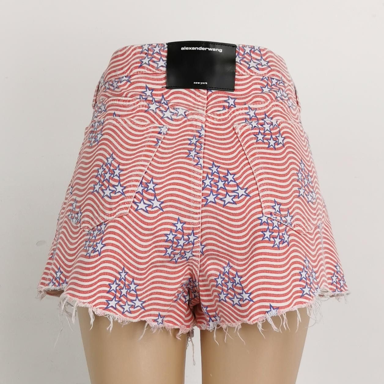 Alexander Wang Alexander Wang Stars & Stripes Shorts Size 28 Size 28" / US 6 / IT 42 - 2 Thumbnail