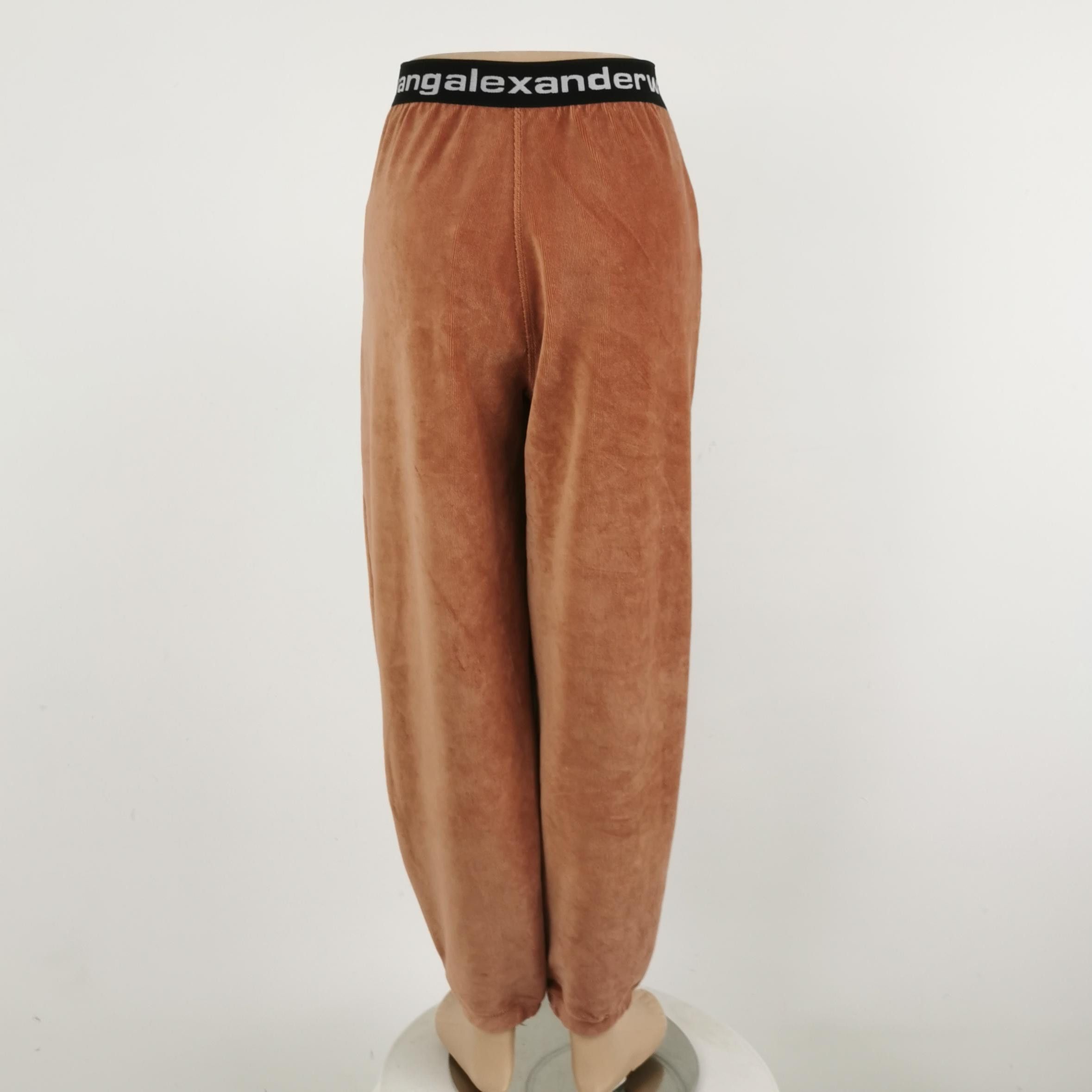 Alexander Wang Alexander Wang Logo Waistband Velour Pants Size XS Size 28" / US 6 / IT 42 - 3 Thumbnail
