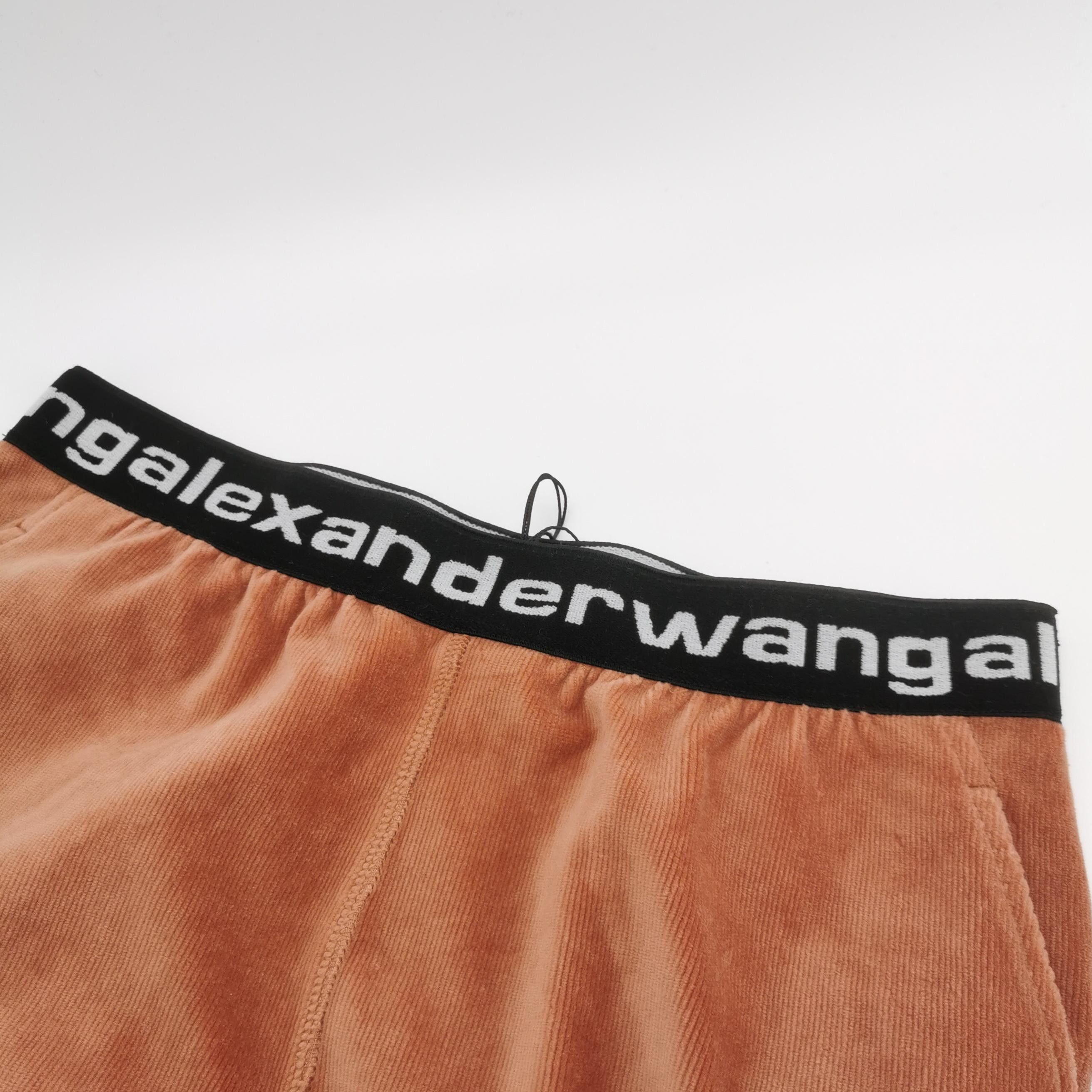 Alexander Wang Alexander Wang Logo Waistband Velour Pants Size XS Size 28" / US 6 / IT 42 - 4 Thumbnail
