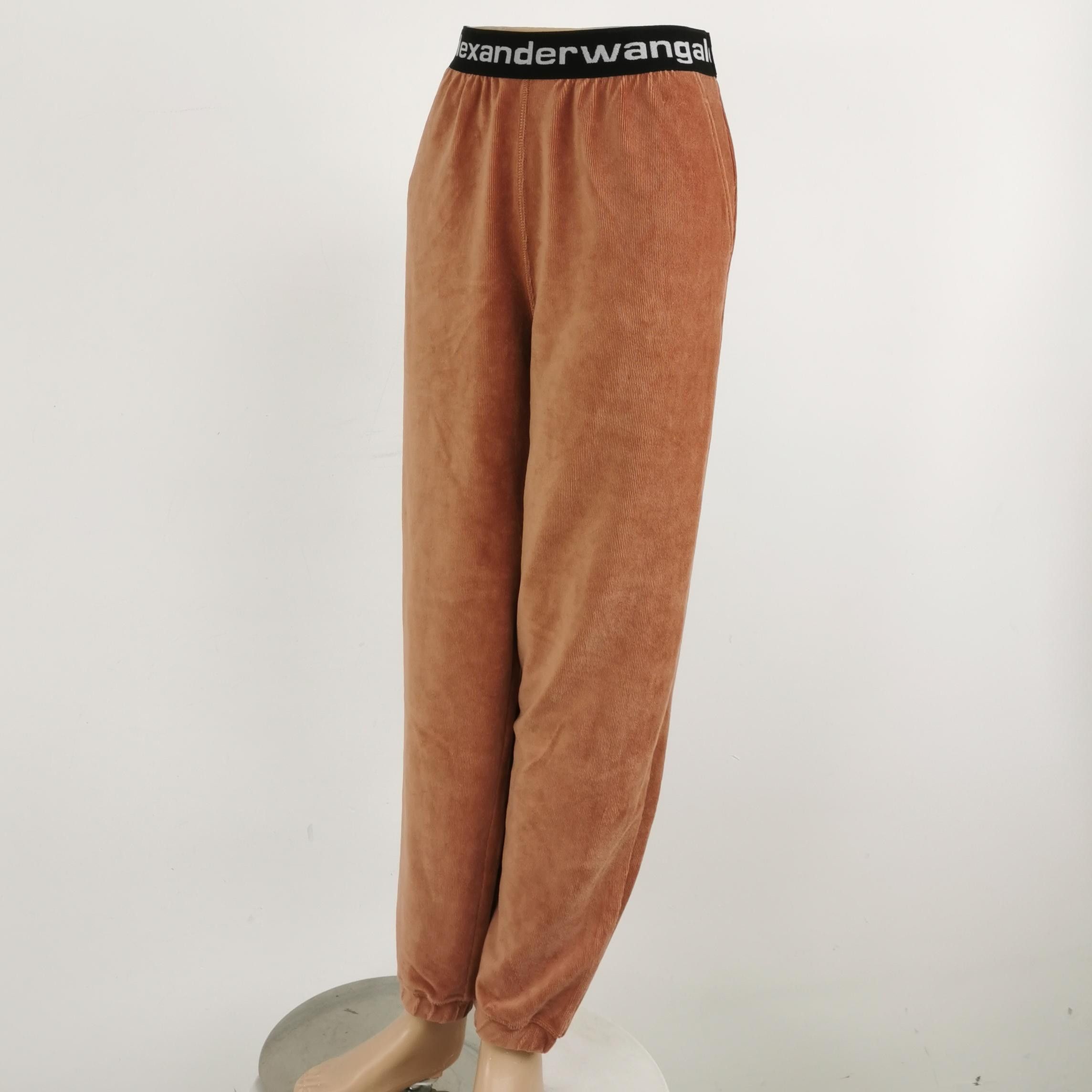 Alexander Wang Alexander Wang Logo Waistband Velour Pants Size XS Size 28" / US 6 / IT 42 - 2 Thumbnail