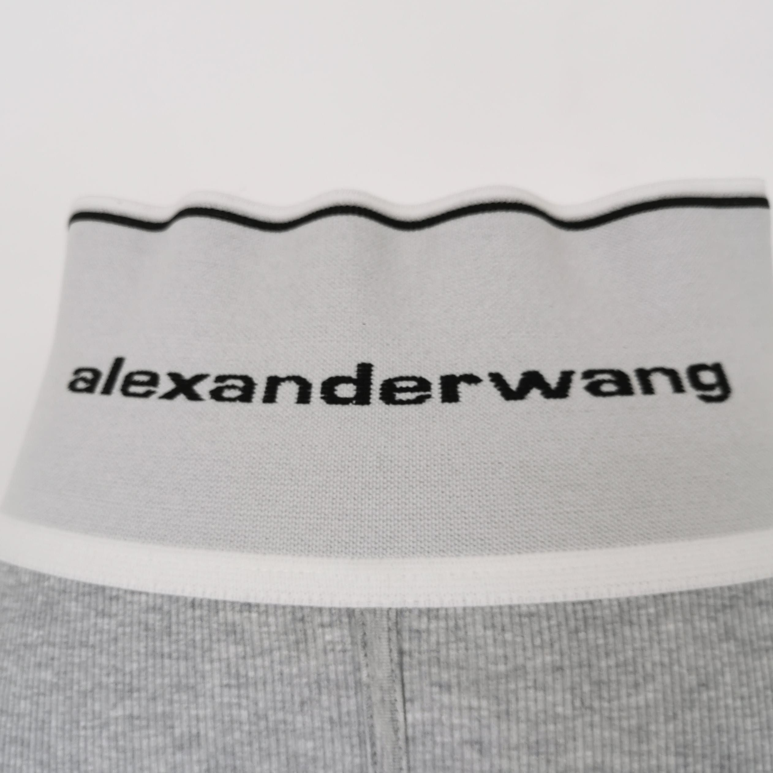 Alexander Wang Alexander Wang Logo Waistband Mini Skirt XXS Size 24" / US 00 / IT 34 - 3 Thumbnail