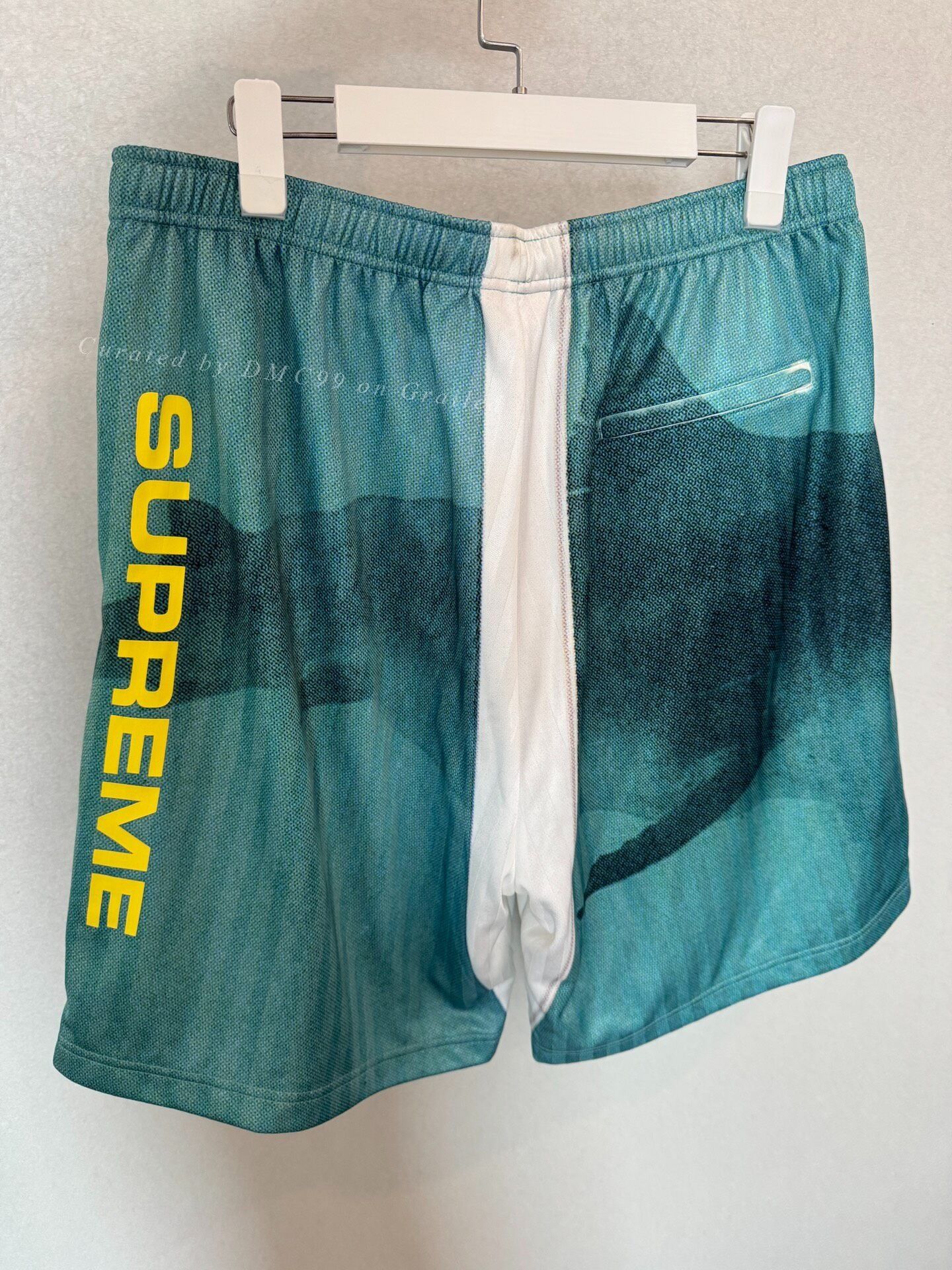Supreme Supreme 25SS Shark Shorts Size US 30 / EU 46 - 3 Thumbnail
