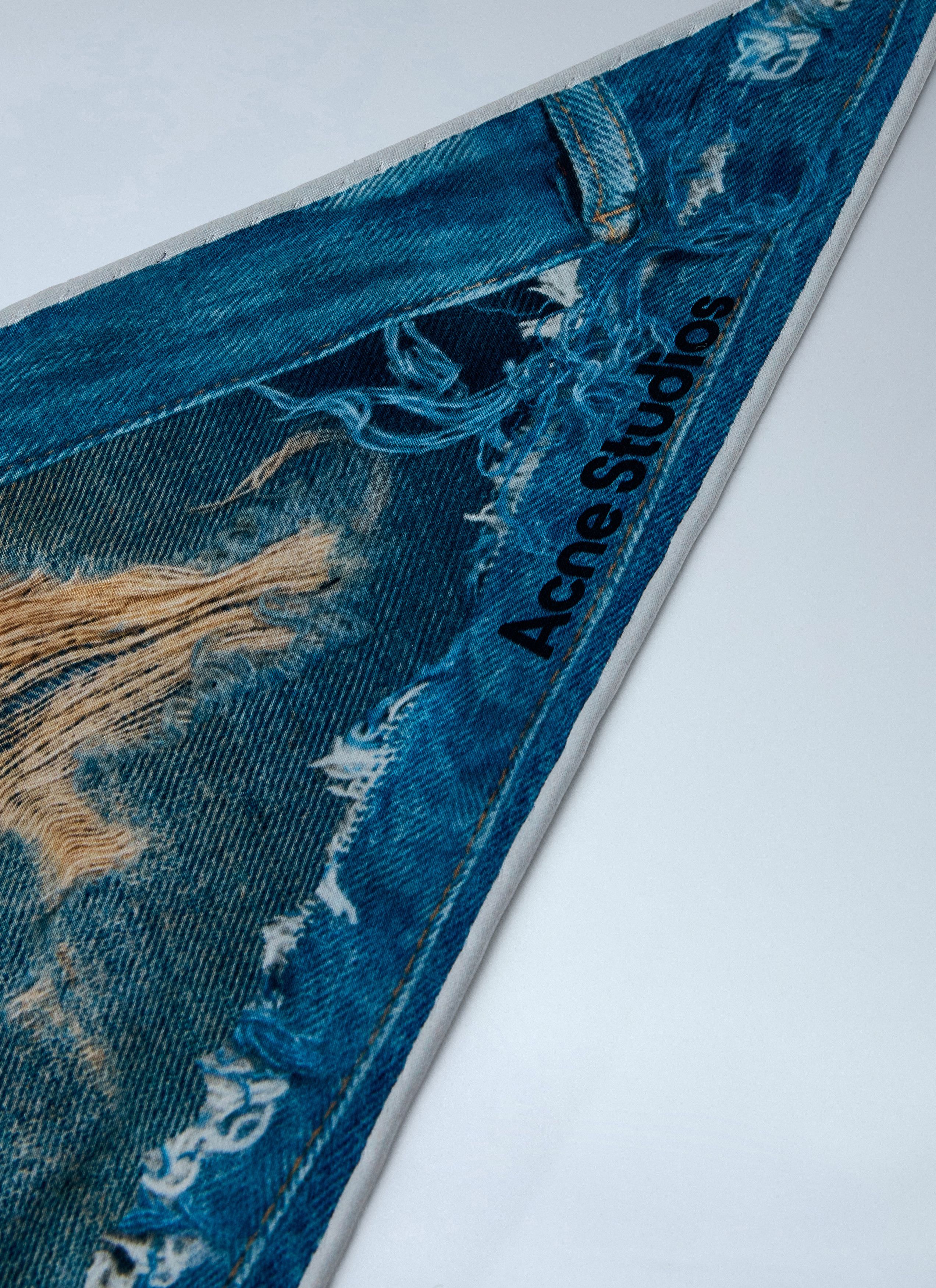 Acne Studios Printed Silk Scarf Size ONE SIZE - 3 Thumbnail