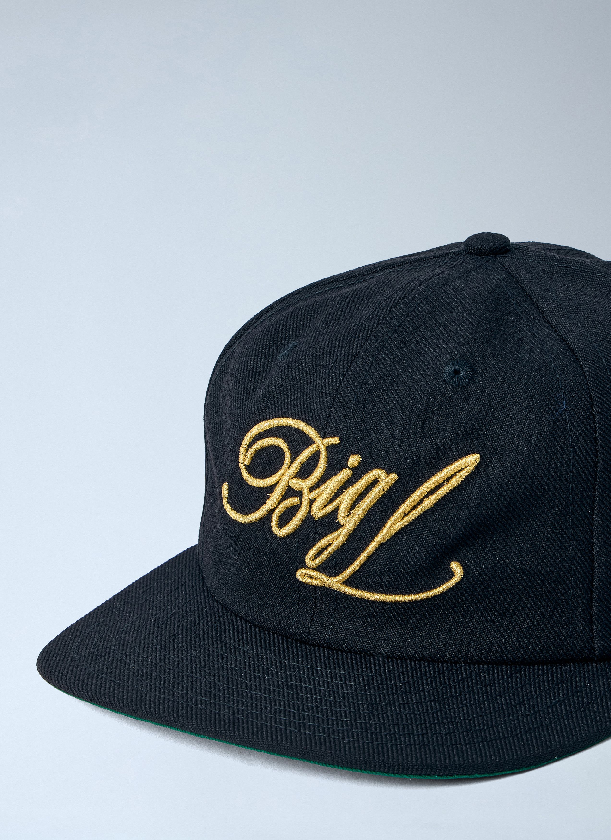 Awake NY Flamboyant Entertainment 6 Panel Cap Size ONE SIZE - 2 Thumbnail