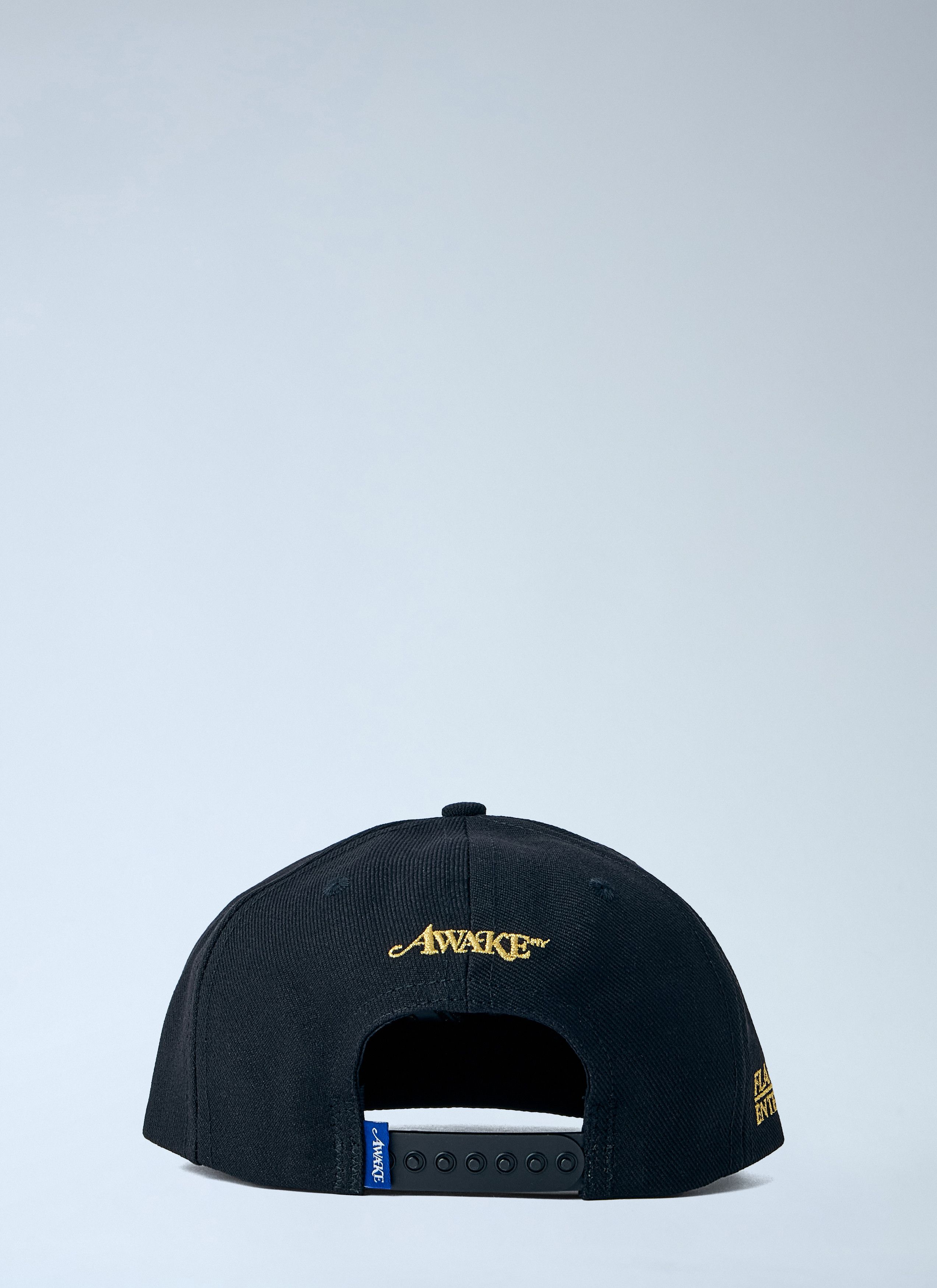 Awake NY Flamboyant Entertainment 6 Panel Cap Size ONE SIZE - 4 Thumbnail