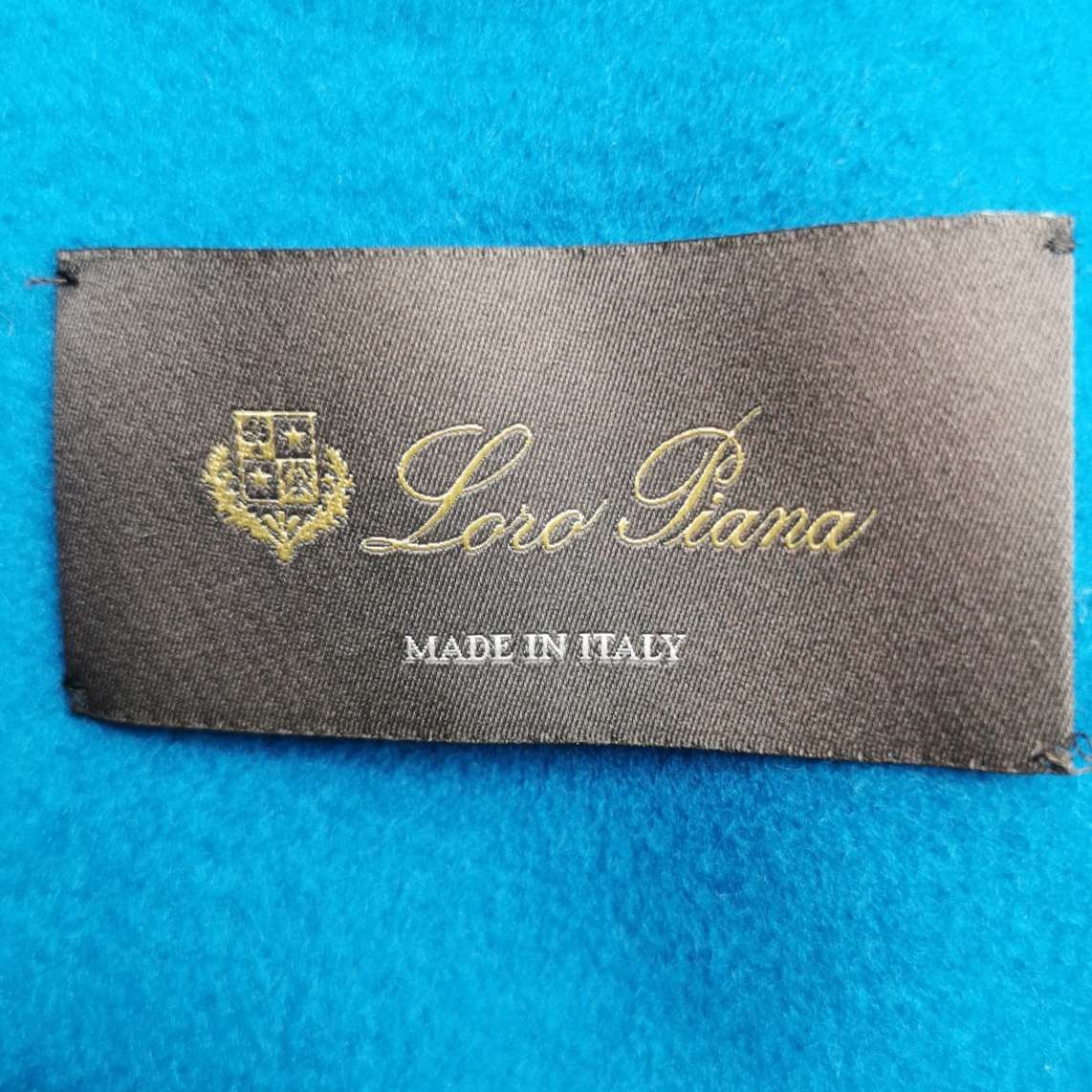 Loro Piana Loro Piana Cashmere Hooded Coat IT 42 Size M / US 6-8 / IT 42-44 - 3 Thumbnail