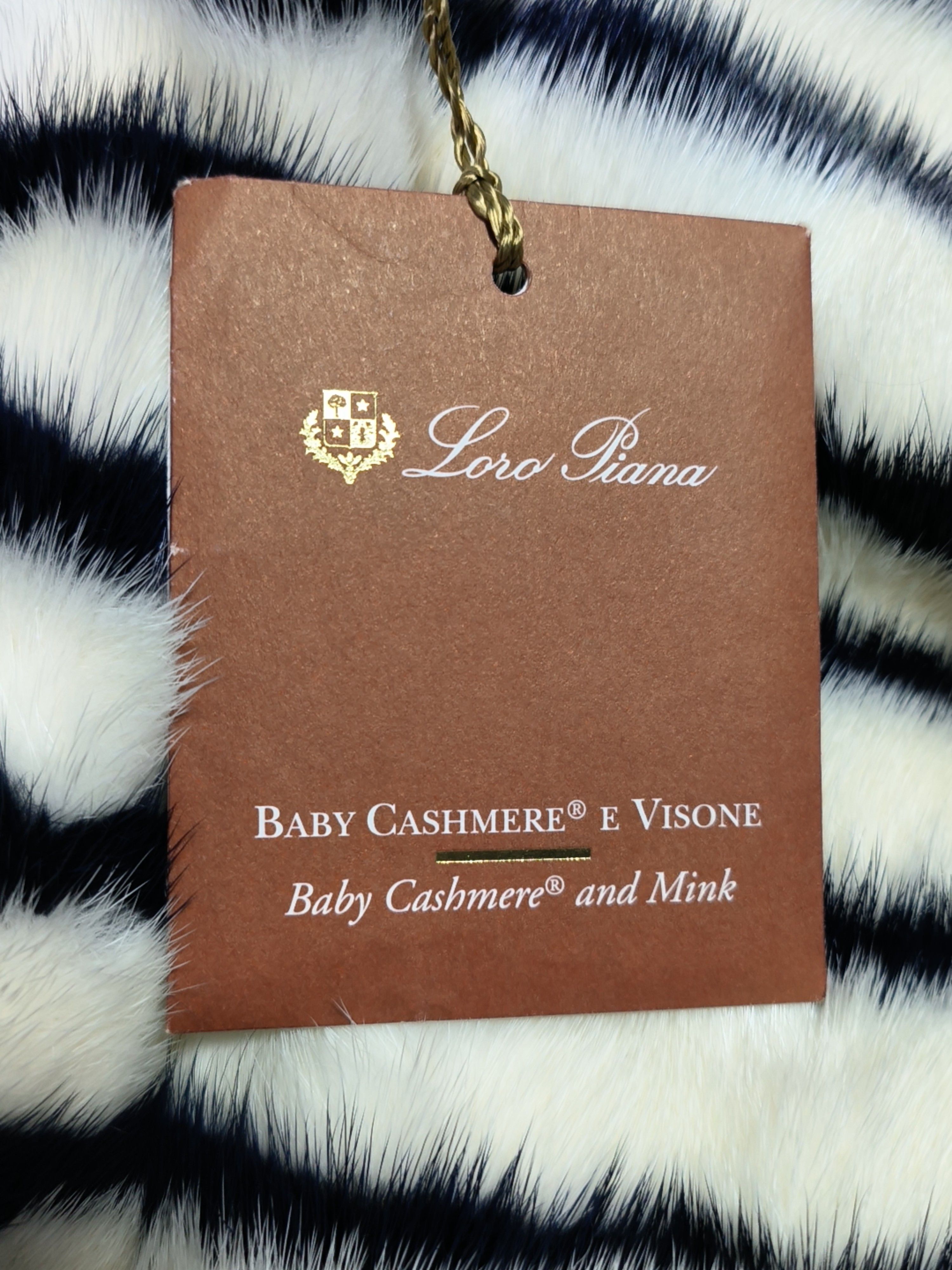 Loro Piana Loro Piana Striped Mink Fur Vest Size M Size M / US 6-8 / IT 42-44 - 5 Thumbnail