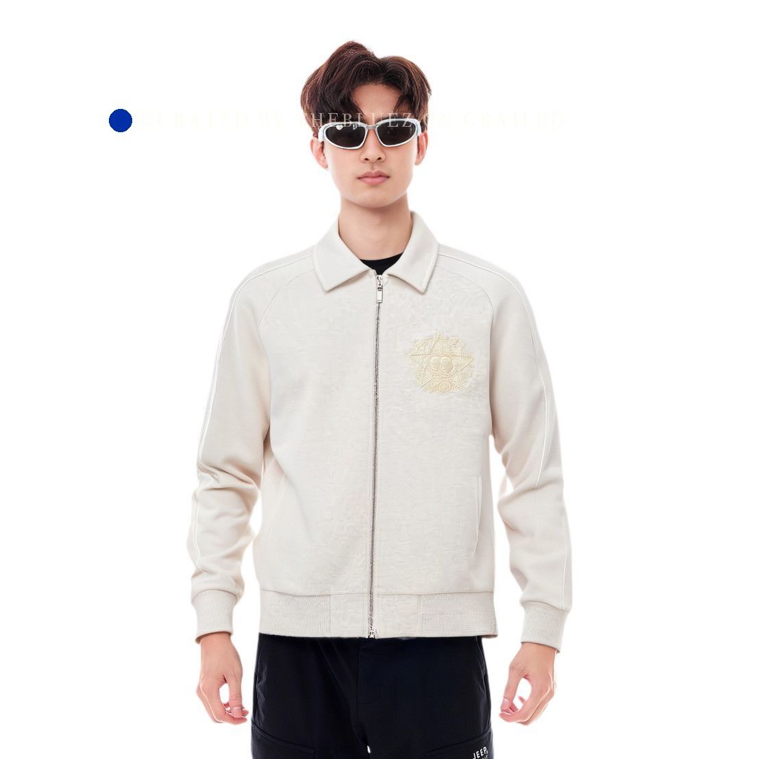 Dior Star Embroidered Zip-Up Jacket in Beige Size US XL / EU 56 / 4 - 5 Thumbnail