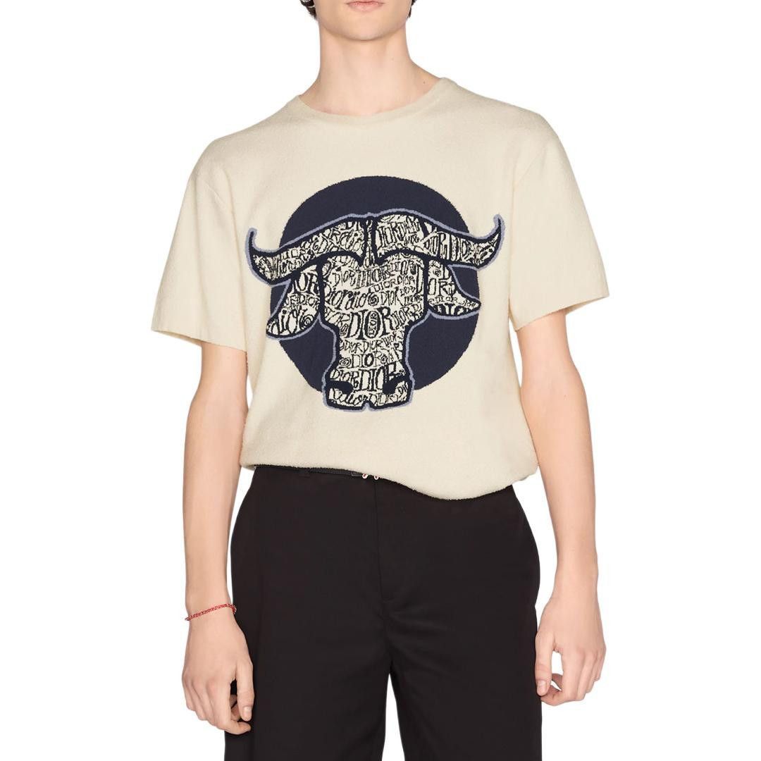 Dior Graphic Knit T-Shirt in White Size M Size US M / EU 48-50 / 2 - 5 Thumbnail