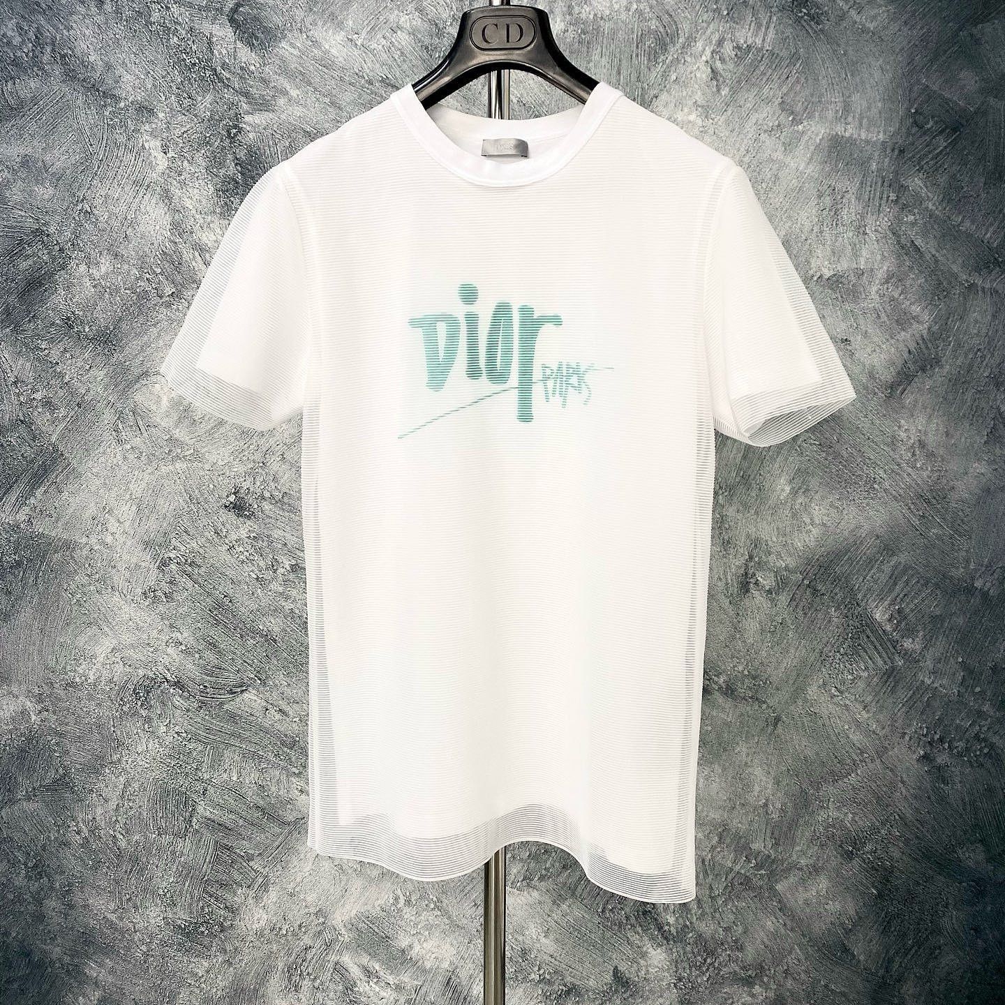 Dior Limited Edition Logo T-Shirt in White Size US XS / EU 42 / 0 - 5 Thumbnail
