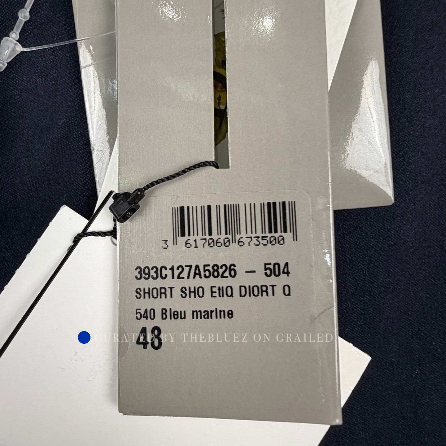 Dior Logo Patch Denim Shorts in Blue Size US 32 / EU 48 - 5 Thumbnail