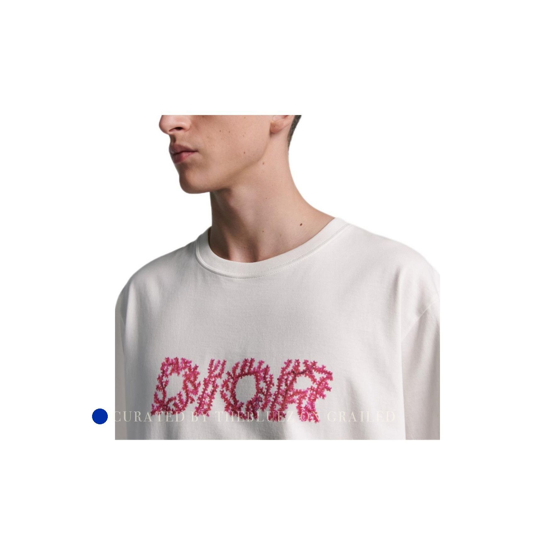 Dior Logo Print Short Sleeve T-Shirt Size US XS / EU 42 / 0 - 12 Thumbnail