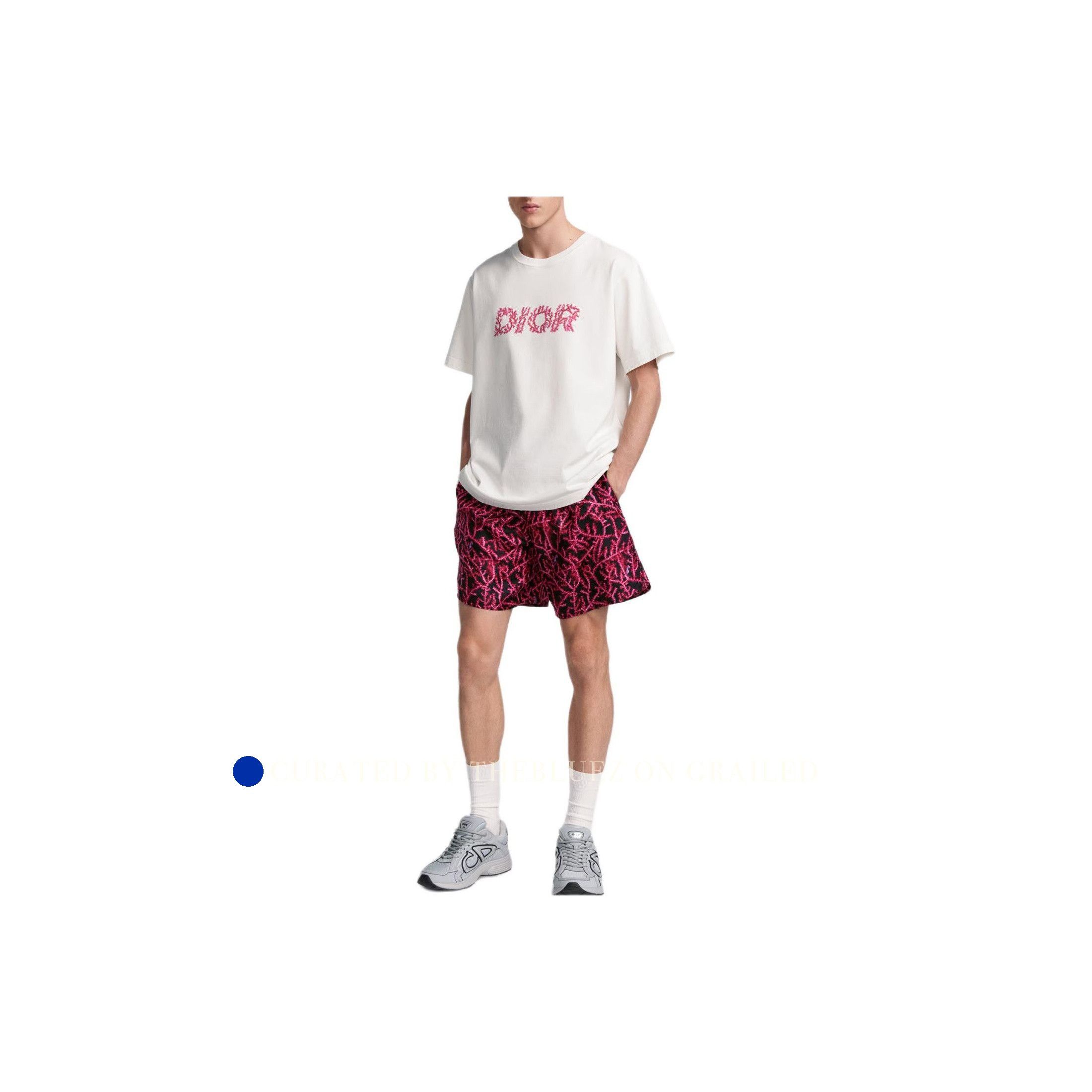 Dior Logo Print Short Sleeve T-Shirt Size US XS / EU 42 / 0 - 9 Thumbnail