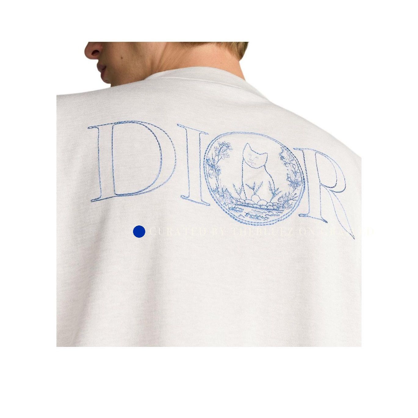 Dior Hylton Nel Embroidery Beige T-Shirt Size US XL / EU 56 / 4 - 8 Thumbnail