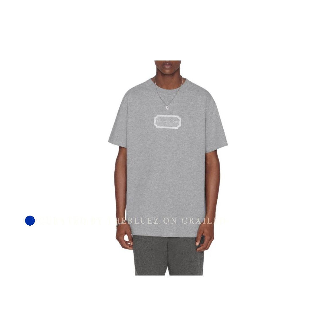 Dior Gray Logo T-Shirt in Size XS Size US XS / EU 42 / 0 - 11 Thumbnail