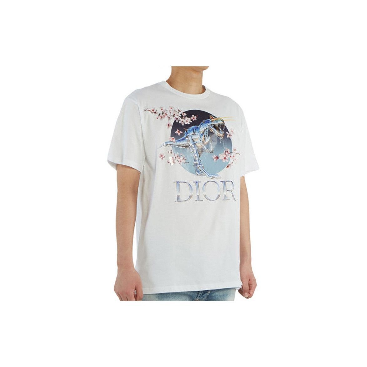 Dior Unique Dinosaur Print T-Shirt in White Size US XXL / EU 58 / 5 - 8 Thumbnail