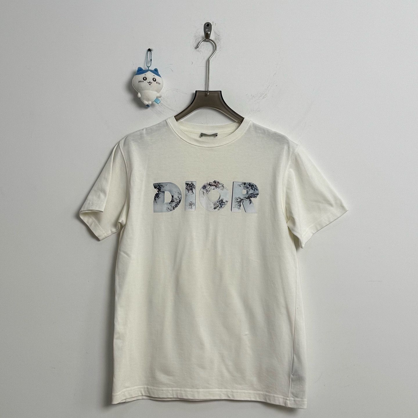 Dior Limited Edition Logo T-Shirt in White Size US S / EU 44-46 / 1 - 2 Thumbnail