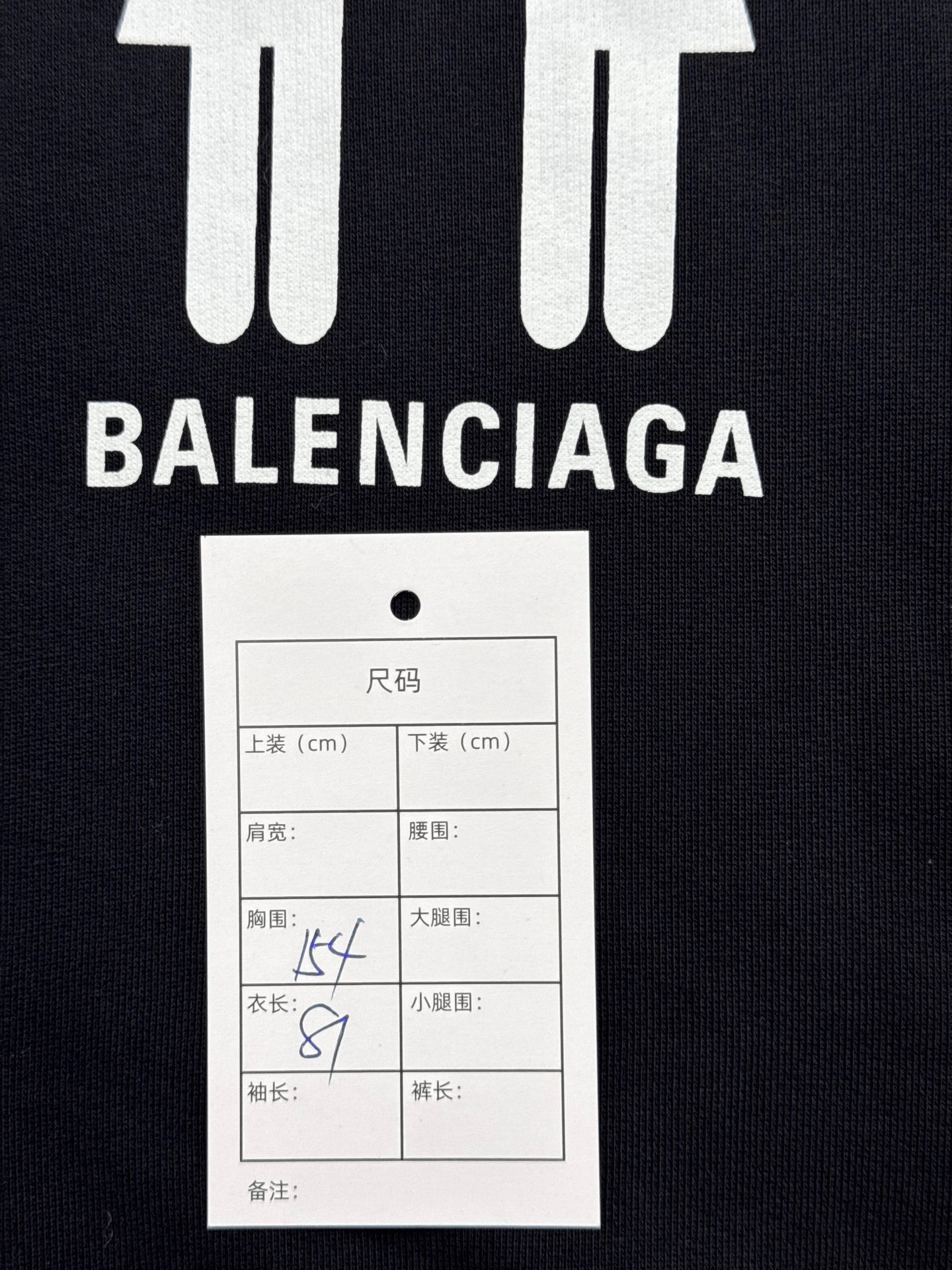 Balenciaga Balenciaga Flag Portrait Logo Hoodie Size US M / EU 48-50 / 2 - 6 Thumbnail