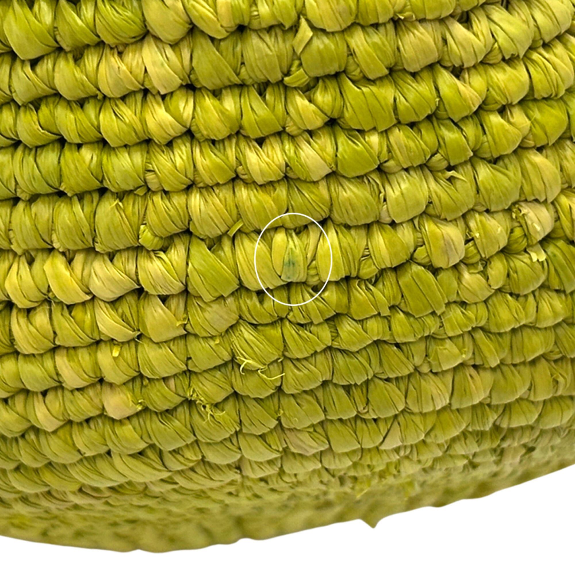 Loewe Loewe handbag for women, Anagram design, shoulder bag, raffia leather, green, crossbody bag. Size ONE SIZE - 8 Thumbnail