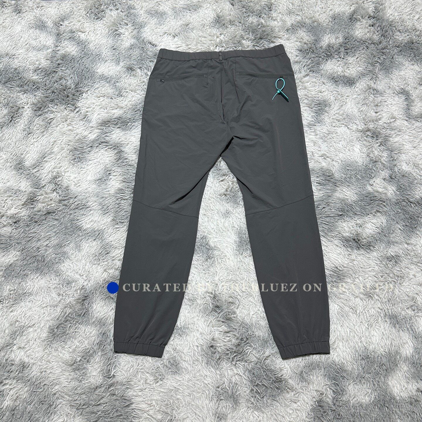 Arc'teryx Arcteryx Kestros Softshell Pants Size US 36 / EU 52 - 2 Thumbnail