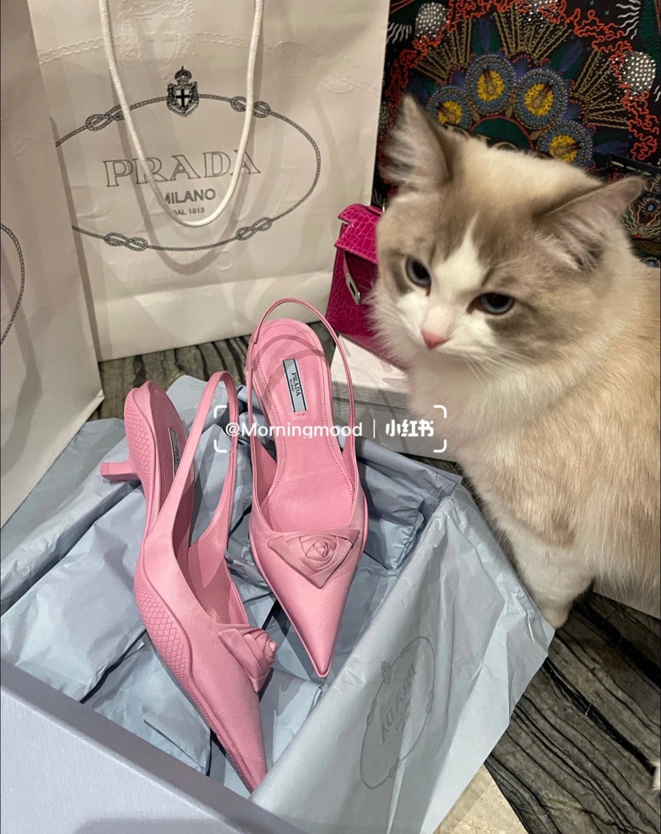 Prada Prada Rose Kitten Heels Size 34.5 Size US 4.5 / IT 34.5 - 9 Thumbnail
