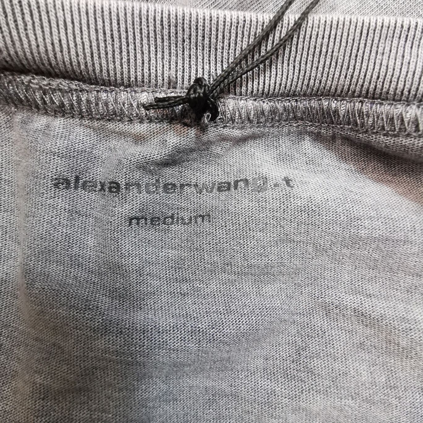 Alexander Wang Logo Long Sleeve T-Shirt in Gray Size US S / EU 44-46 / 1 - 5 Thumbnail