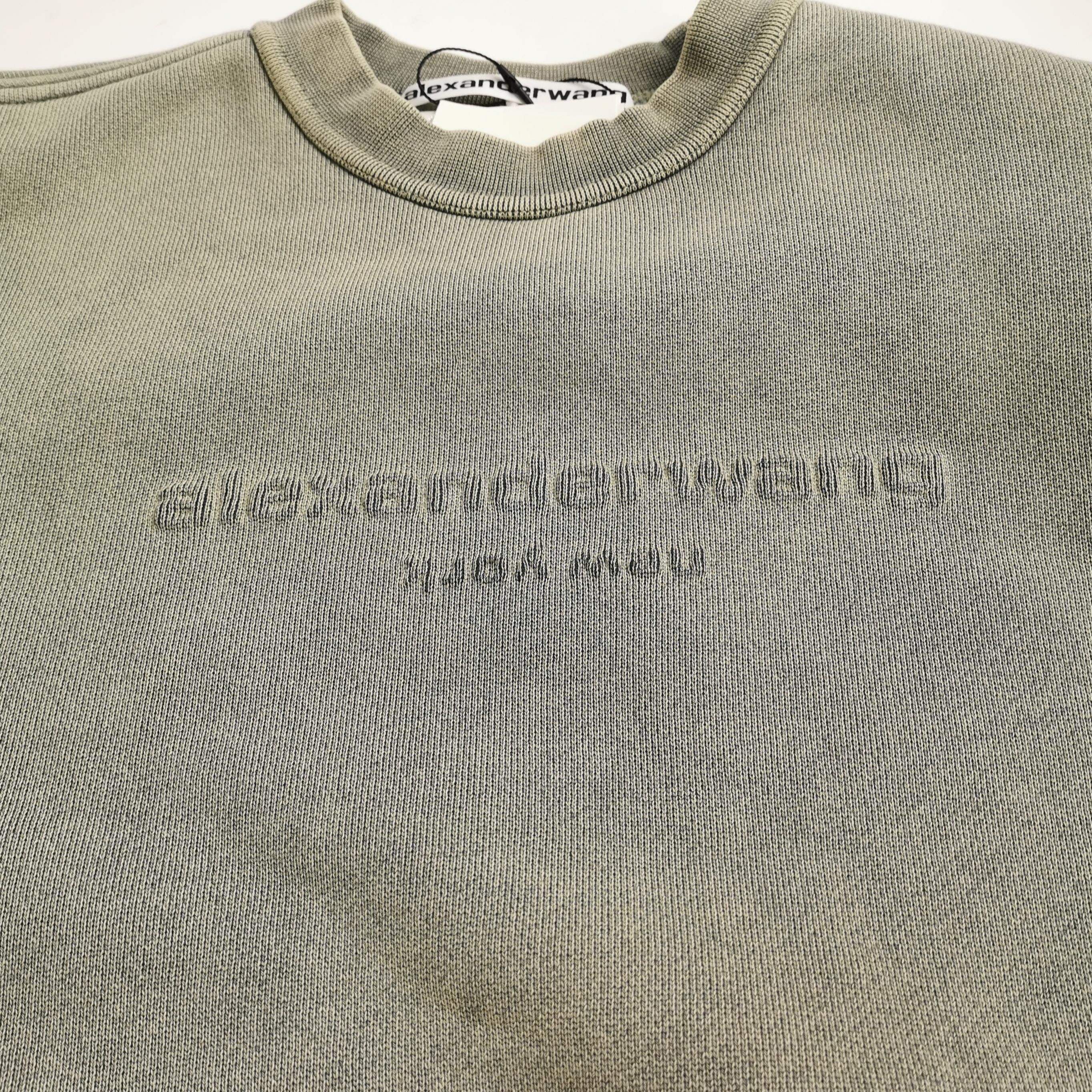 Alexander Wang Logo Crewneck Sweatshirt in Green Size US S / EU 44-46 / 1 - 3 Thumbnail