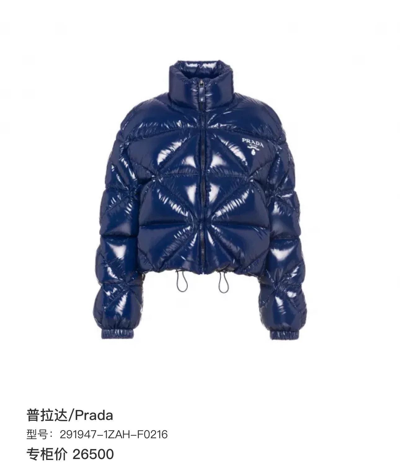 Prada Prada Shiny Quilted Logo Print Down Jacket Size XS / US 0-2 / IT 36-38 - 8 Thumbnail