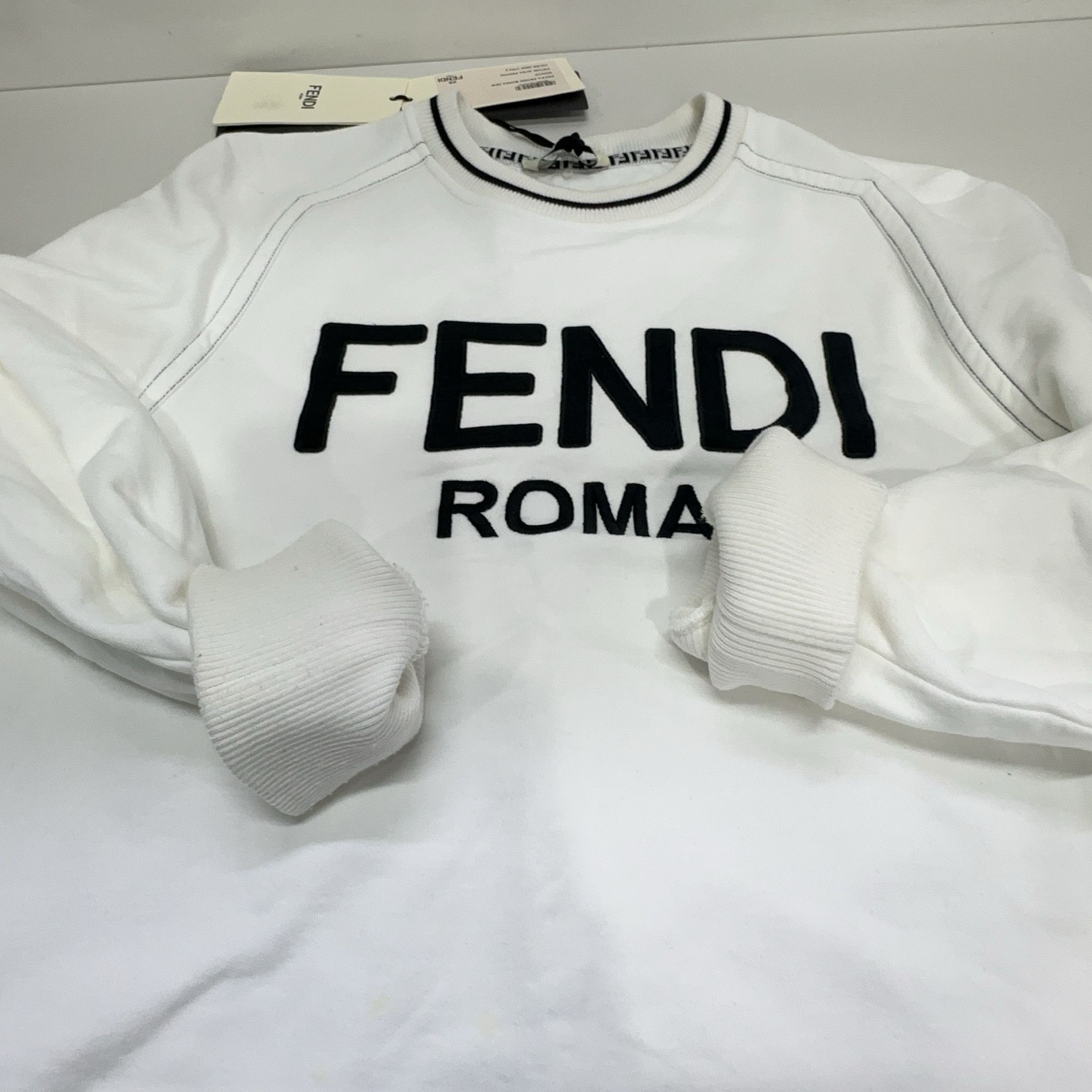 Fendi Fendi Roma Logo Sweatshirt Size XS Size XS / US 0-2 / IT 36-38 - 10 Thumbnail
